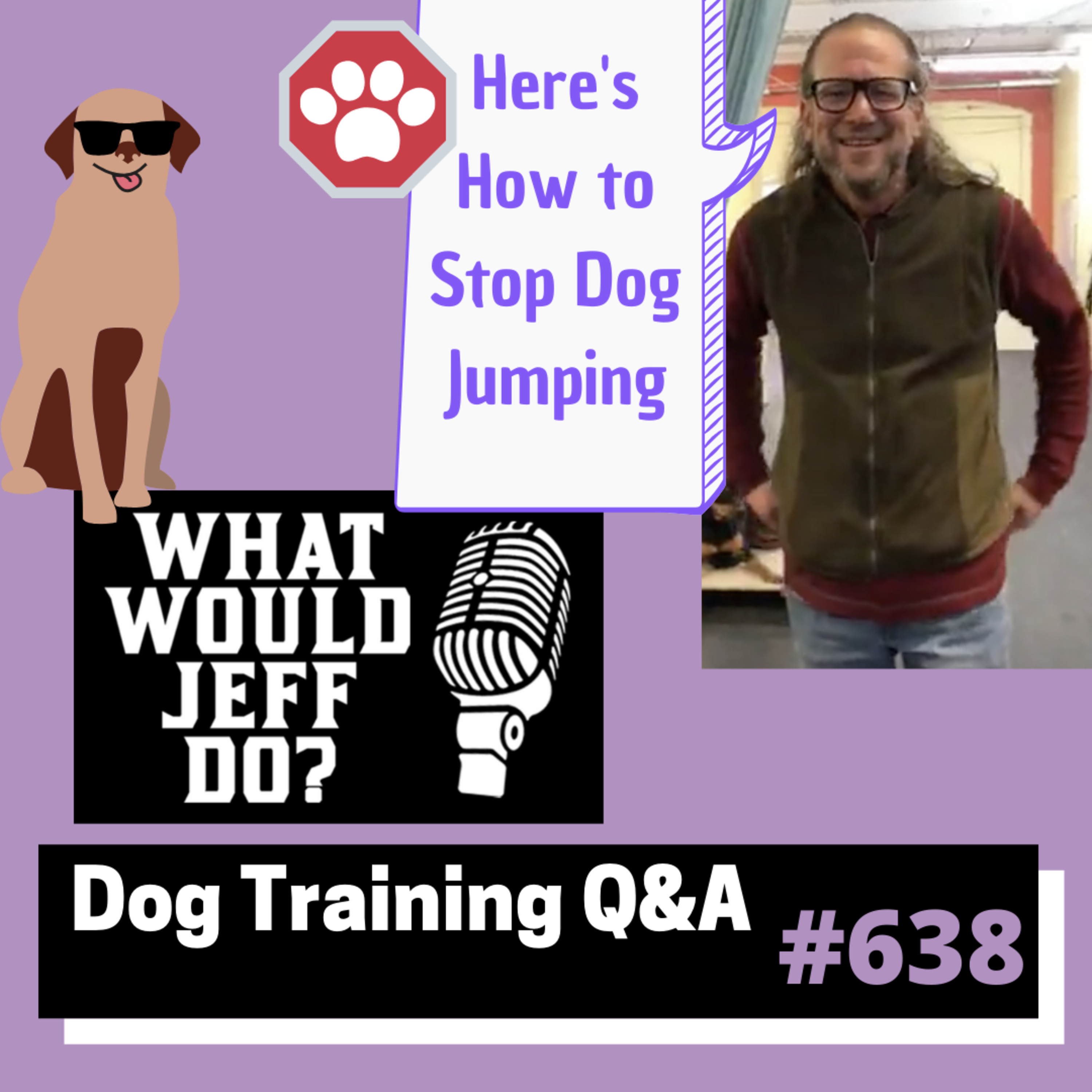 Dog Training Q & A What Would Jeff Do? With Jeff Gellman of Solid K9 Training