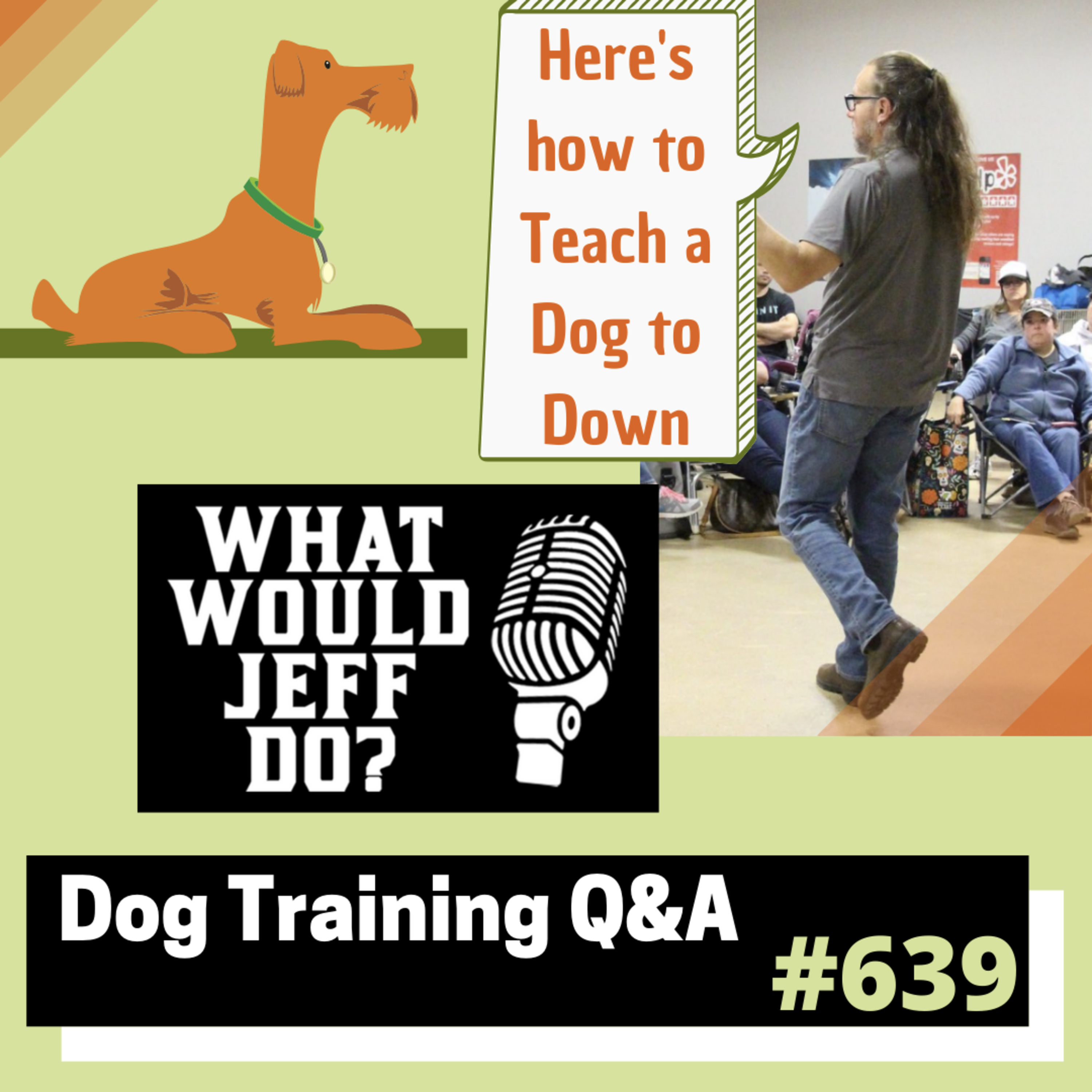 Dog Training Q & A What Would Jeff Do? With Jeff Gellman of Solid K9 Training