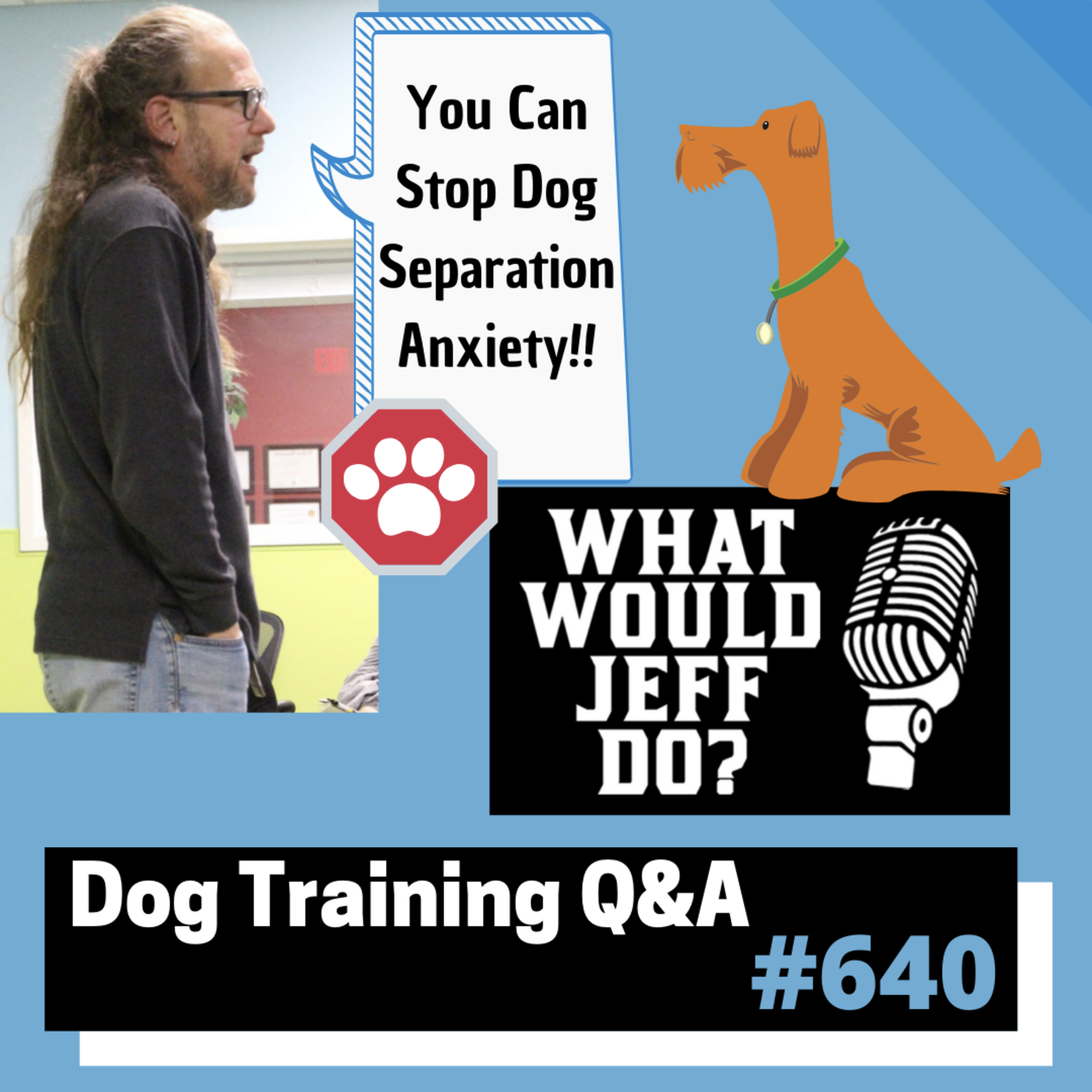 Dog Training Q & A What Would Jeff Do? With Jeff Gellman of Solid K9 Training