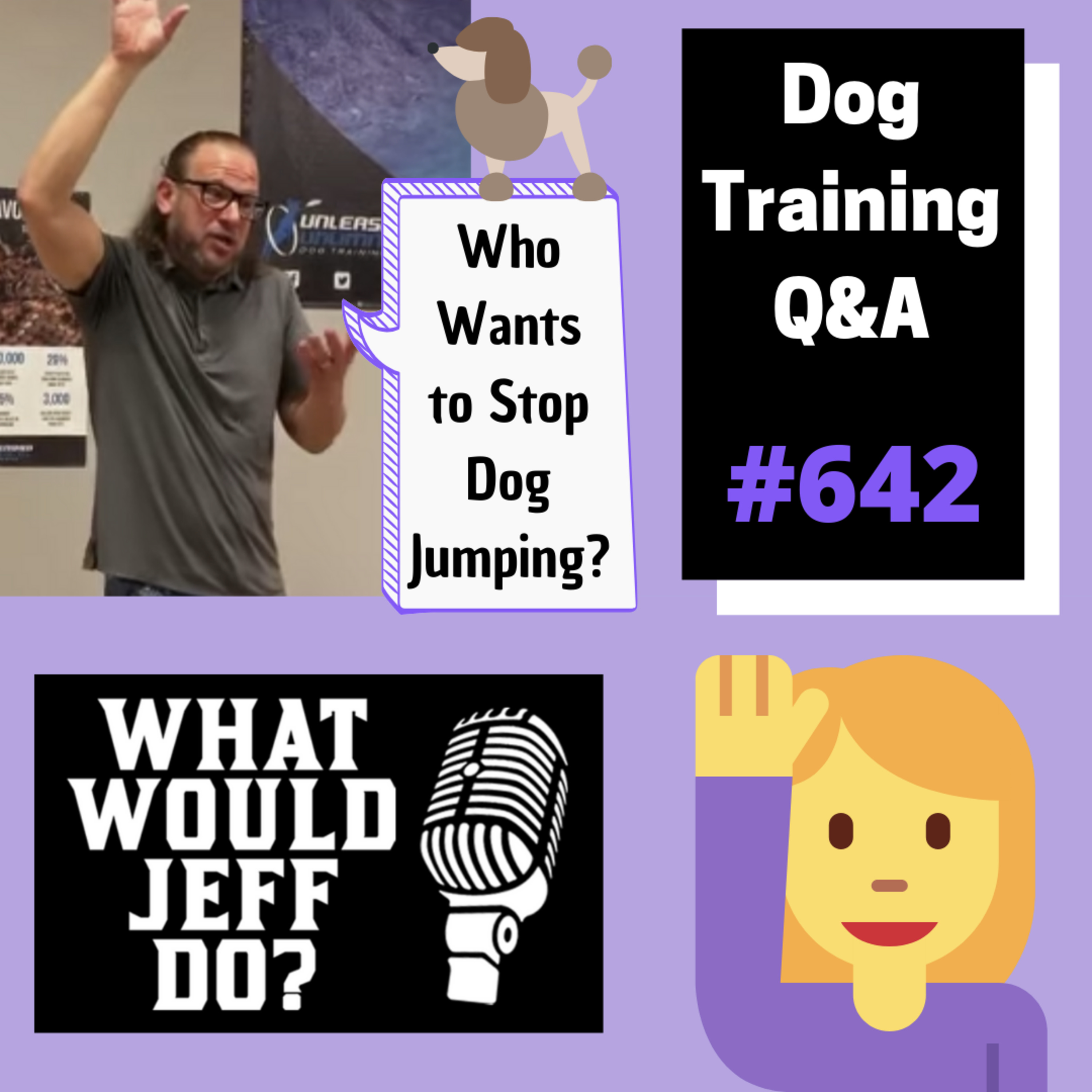 Dog Training Q & A What Would Jeff Do? With Jeff Gellman of Solid K9 Training