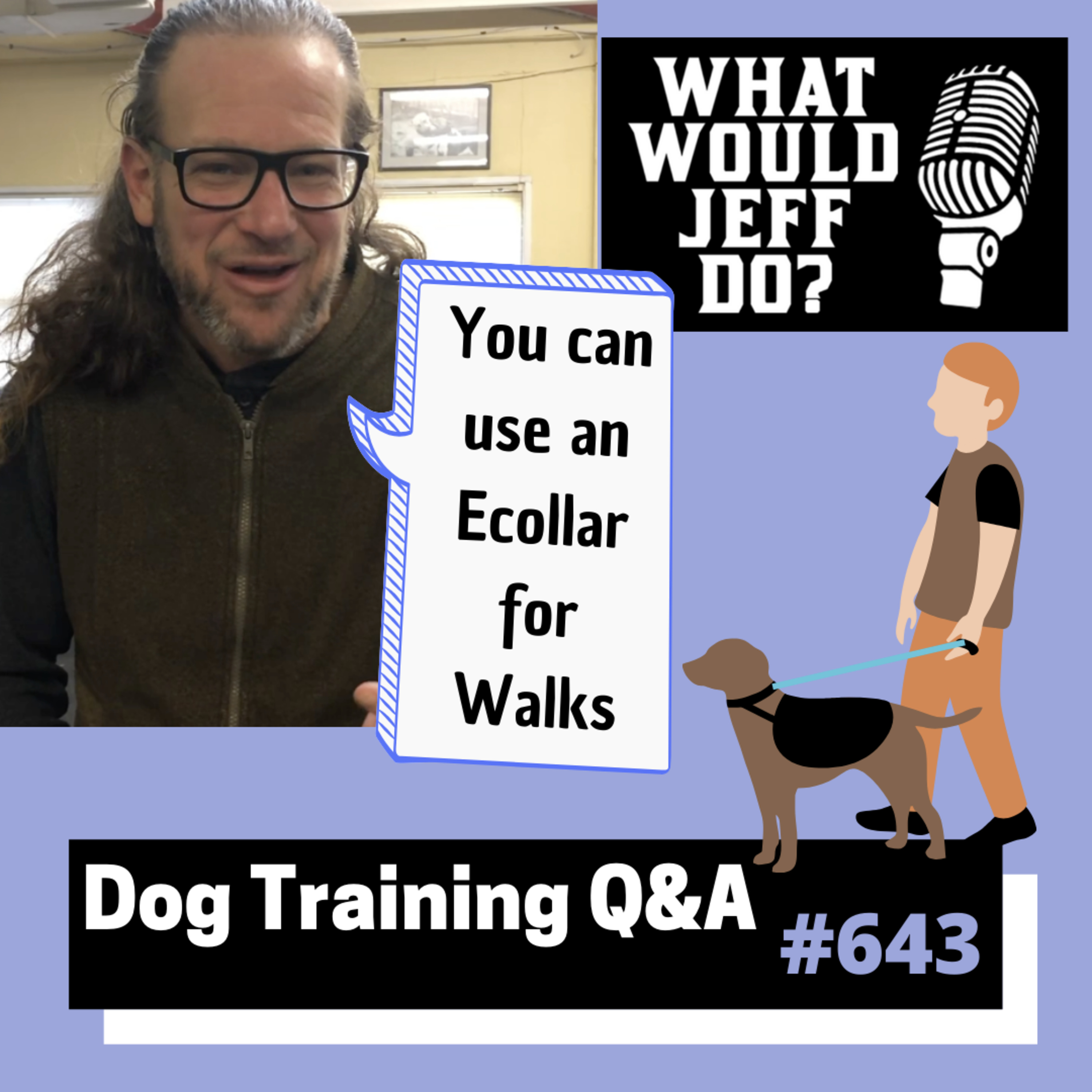 Dog Training Q & A What Would Jeff Do? With Jeff Gellman of Solid K9 Training