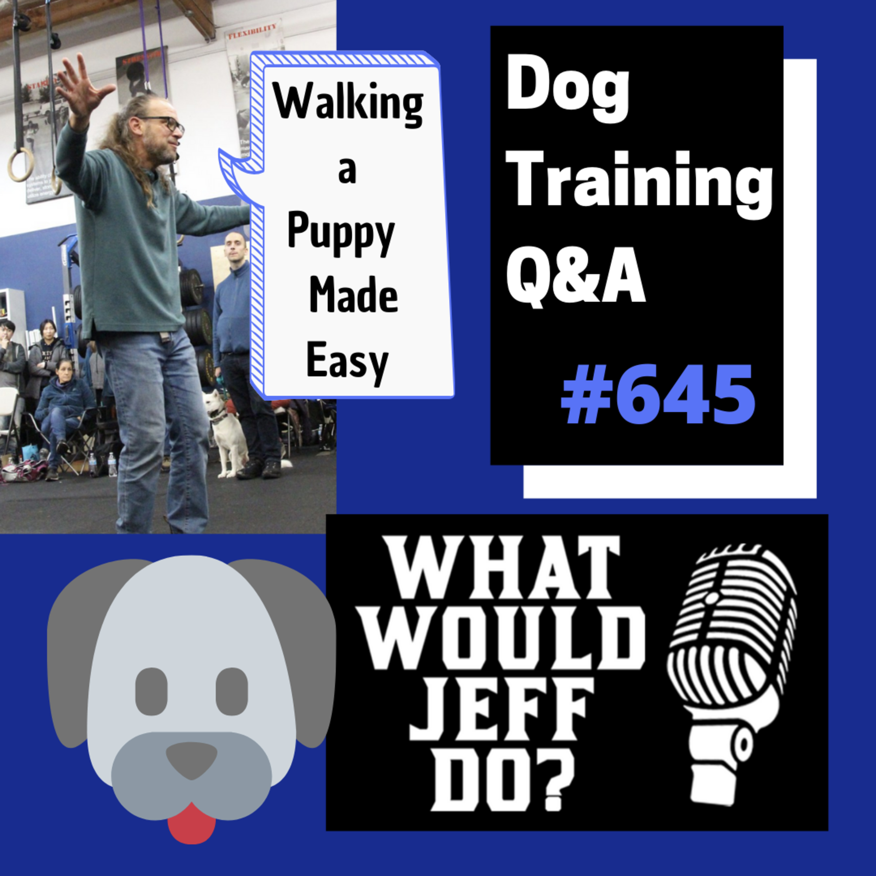 Dog Training Q & A What Would Jeff Do? With Jeff Gellman of Solid K9 Training