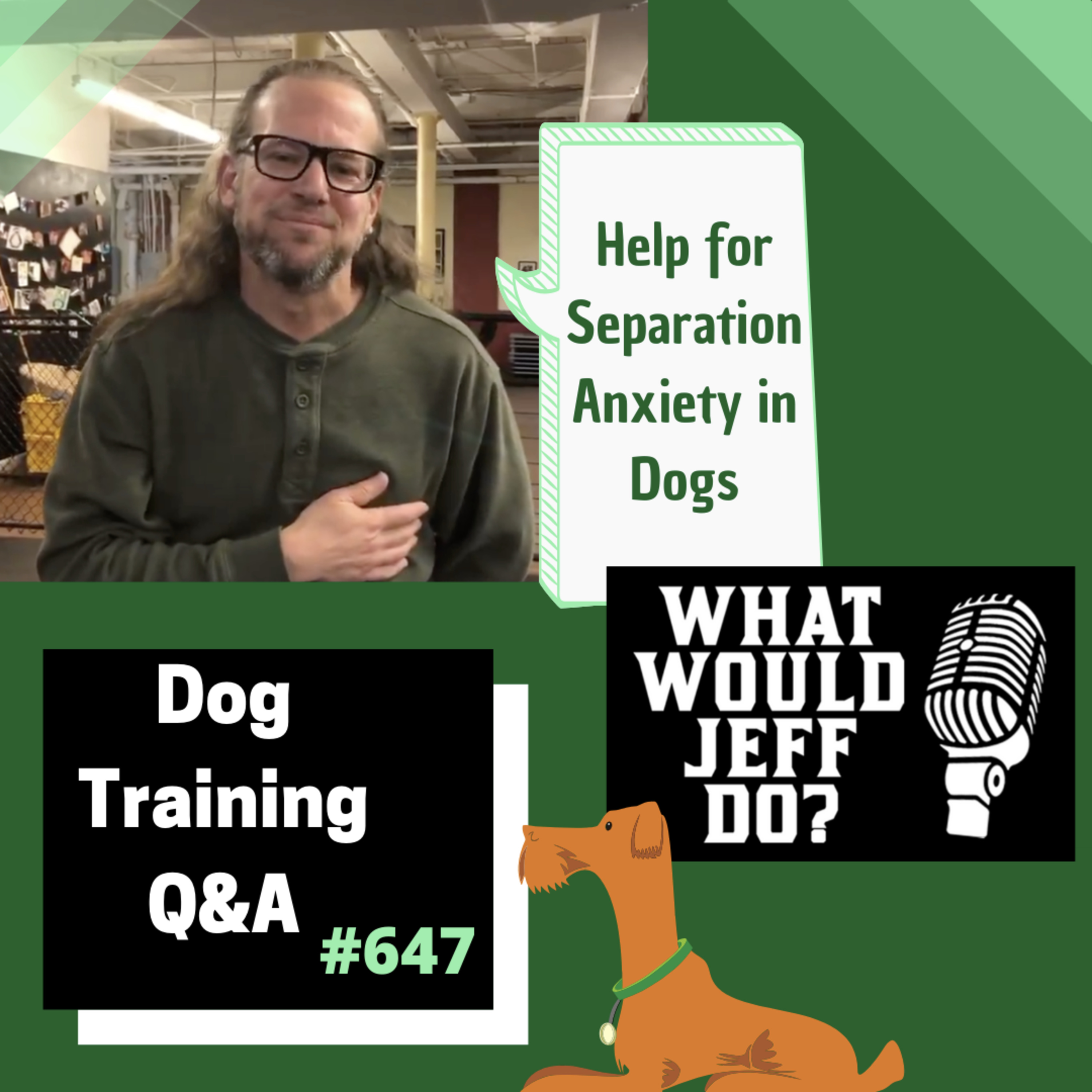 Dog Training Q & A What Would Jeff Do? With Jeff Gellman of Solid K9 Training
