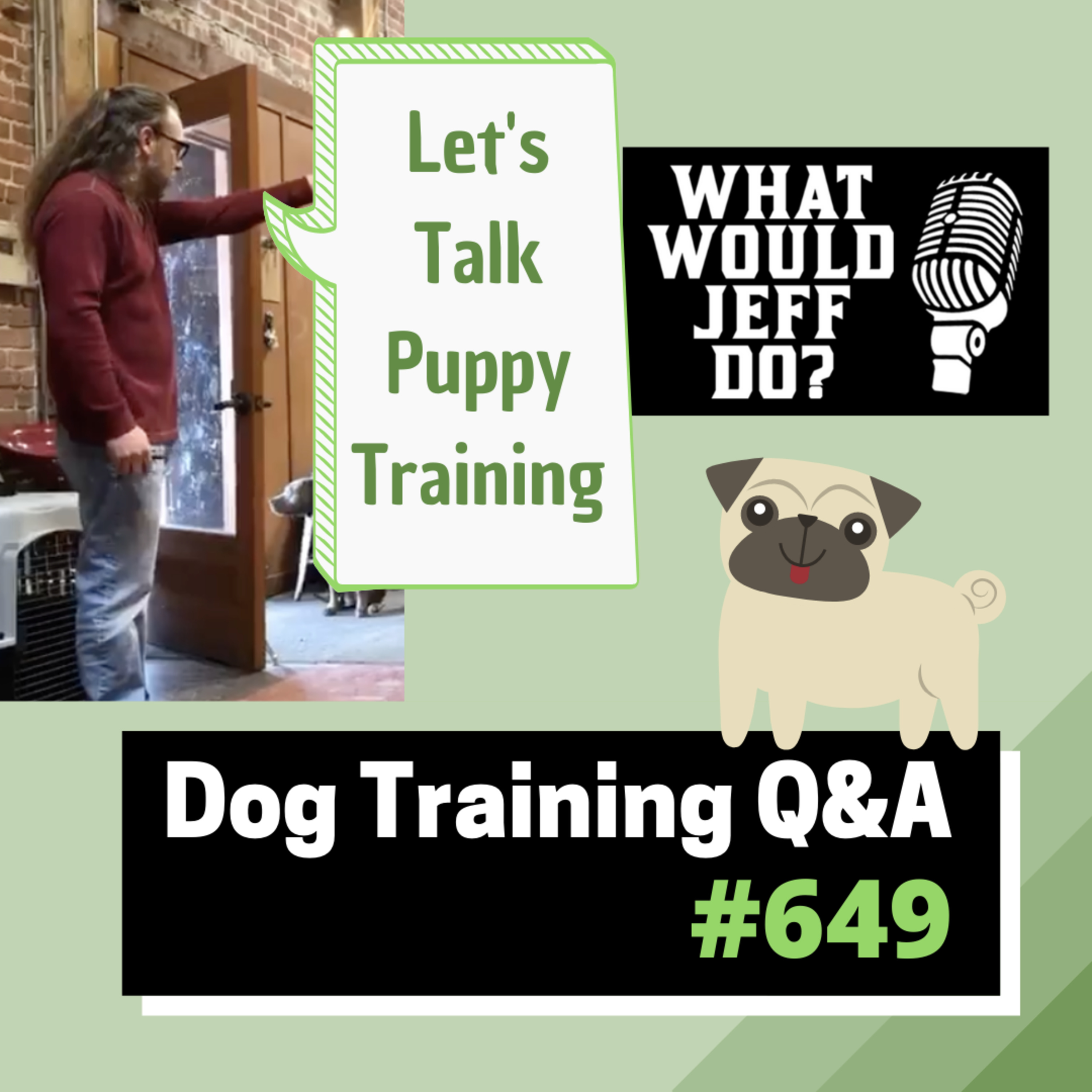 Dog Training Q & A What Would Jeff Do? With Jeff Gellman of Solid K9 Training