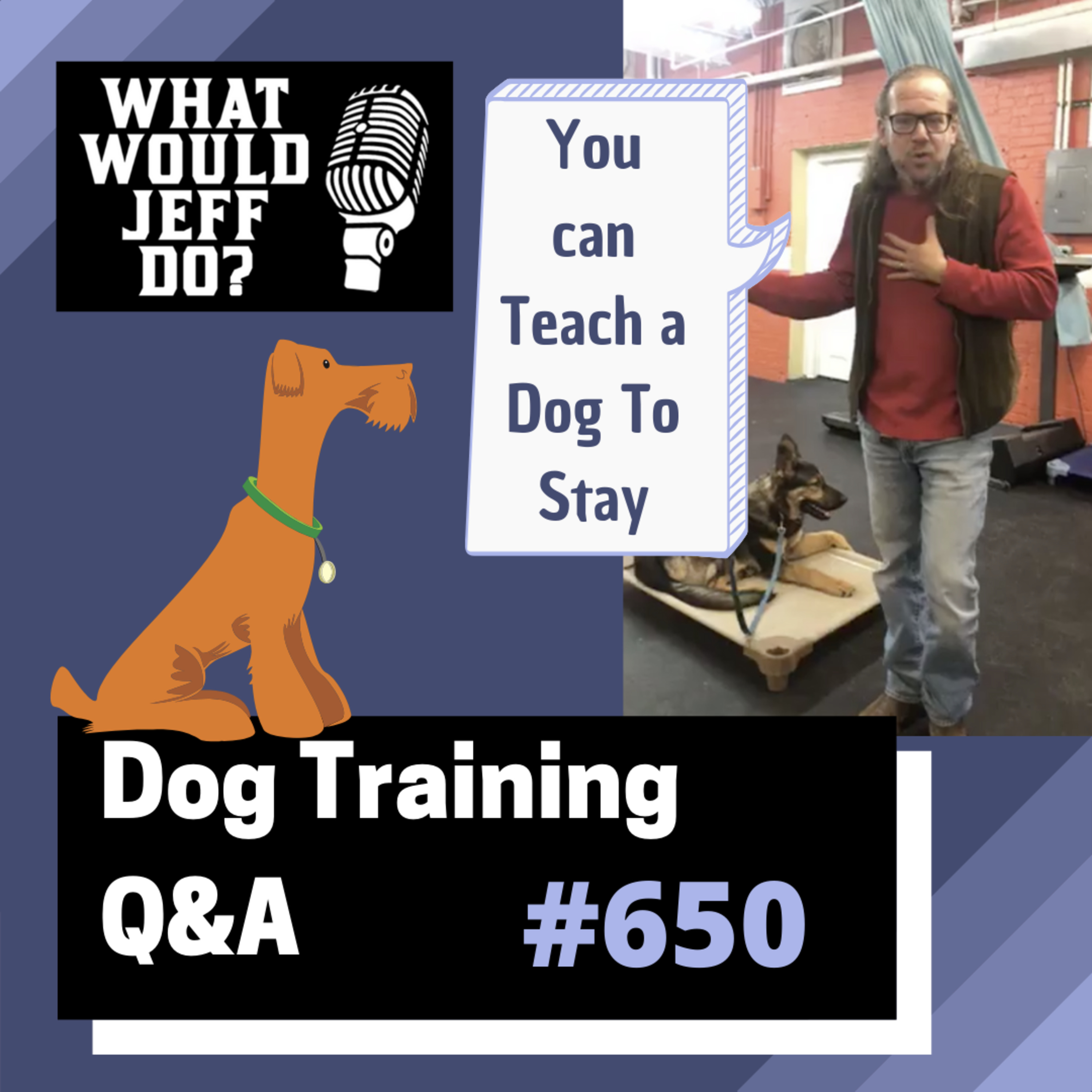 Dog Training Q & A What Would Jeff Do? With Jeff Gellman of Solid K9 Training