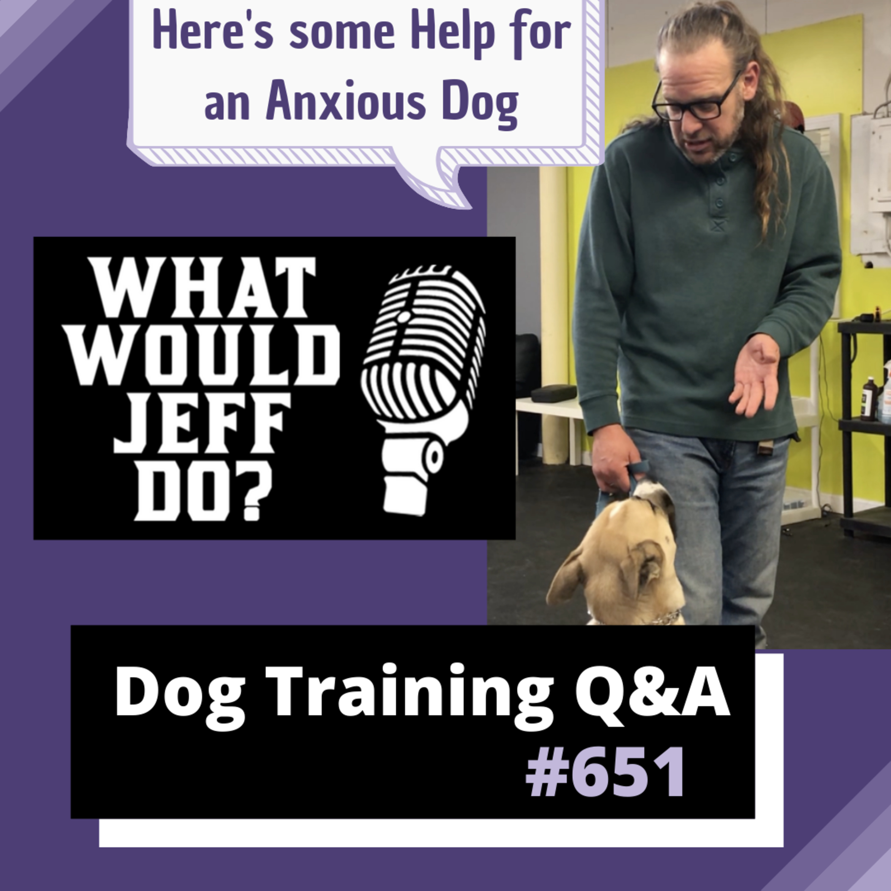 Dog Training Q & A What Would Jeff Do? With Jeff Gellman of Solid K9 Training