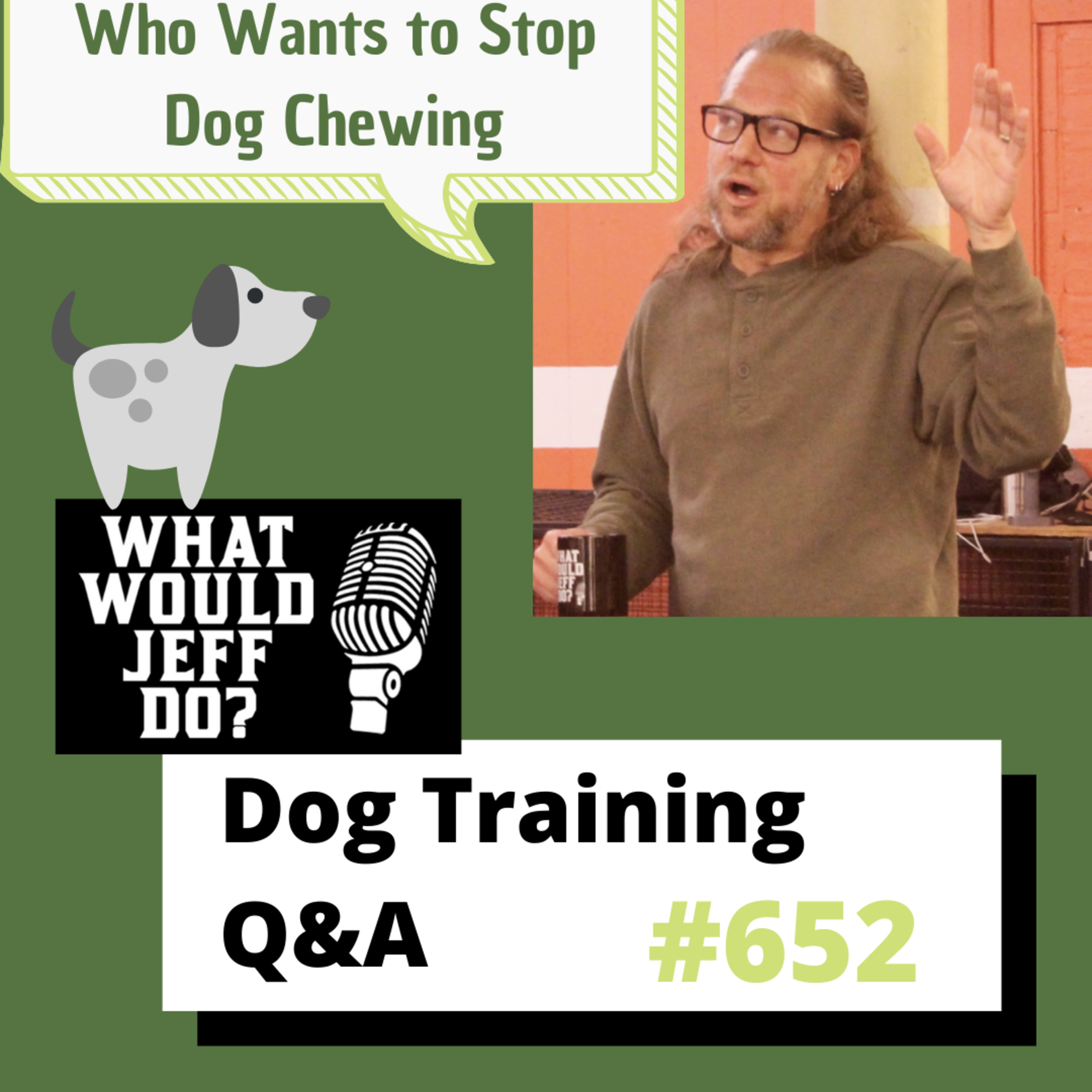Dog Training Q & A What Would Jeff Do? With Jeff Gellman of Solid K9 Training
