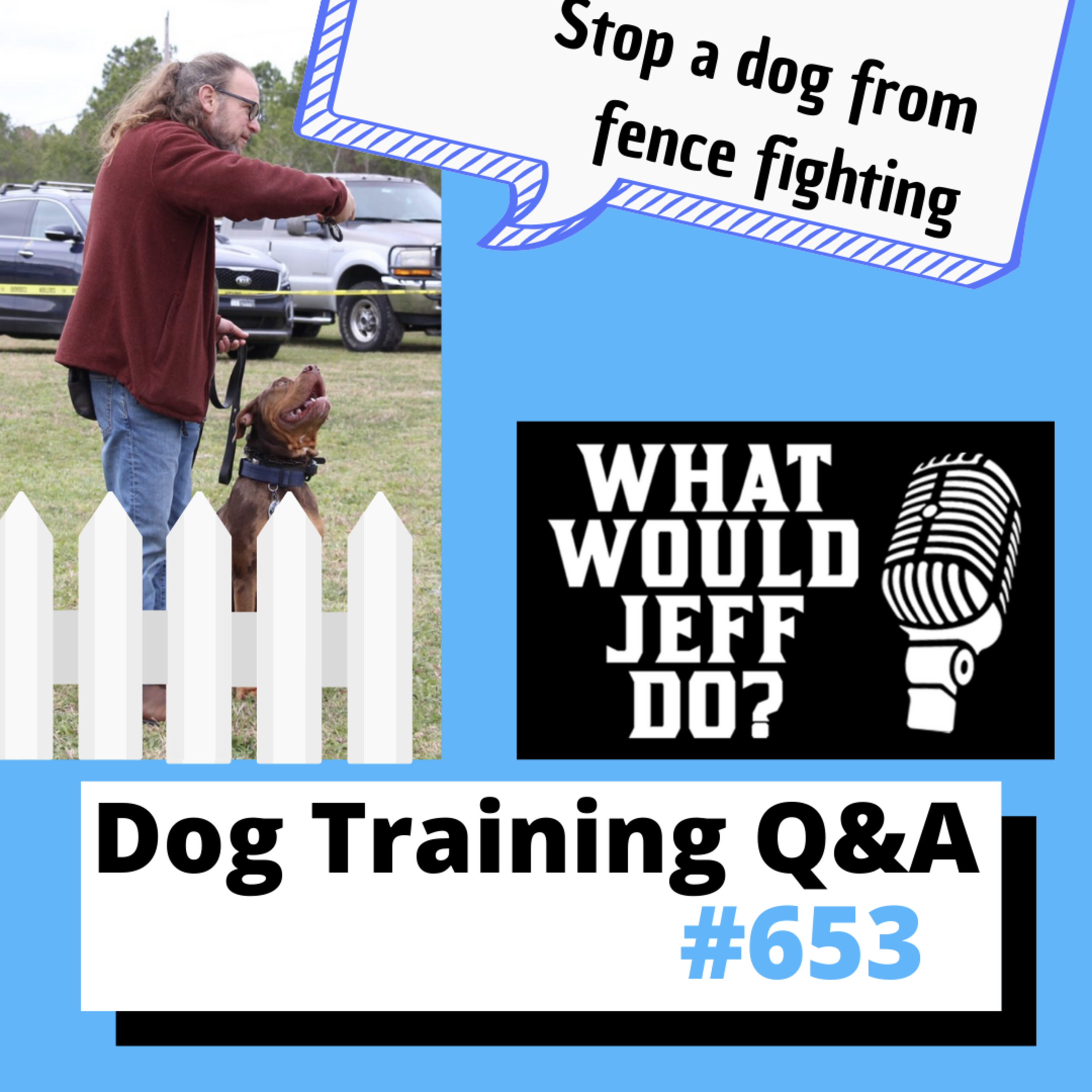 Dog Training Q & A What Would Jeff Do? With Jeff Gellman of Solid K9 Training