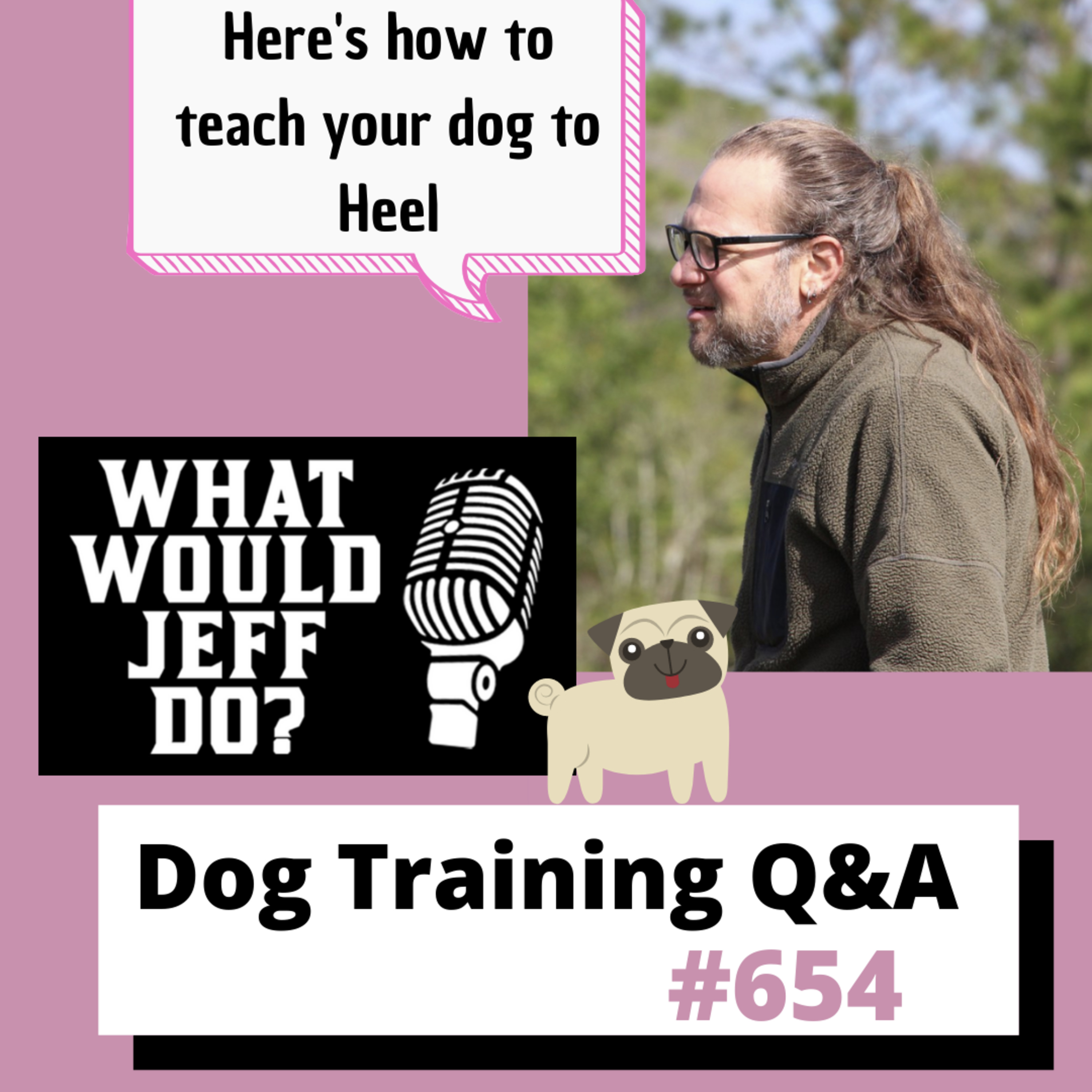 Dog Training Q & A What Would Jeff Do? With Jeff Gellman of Solid K9 Training