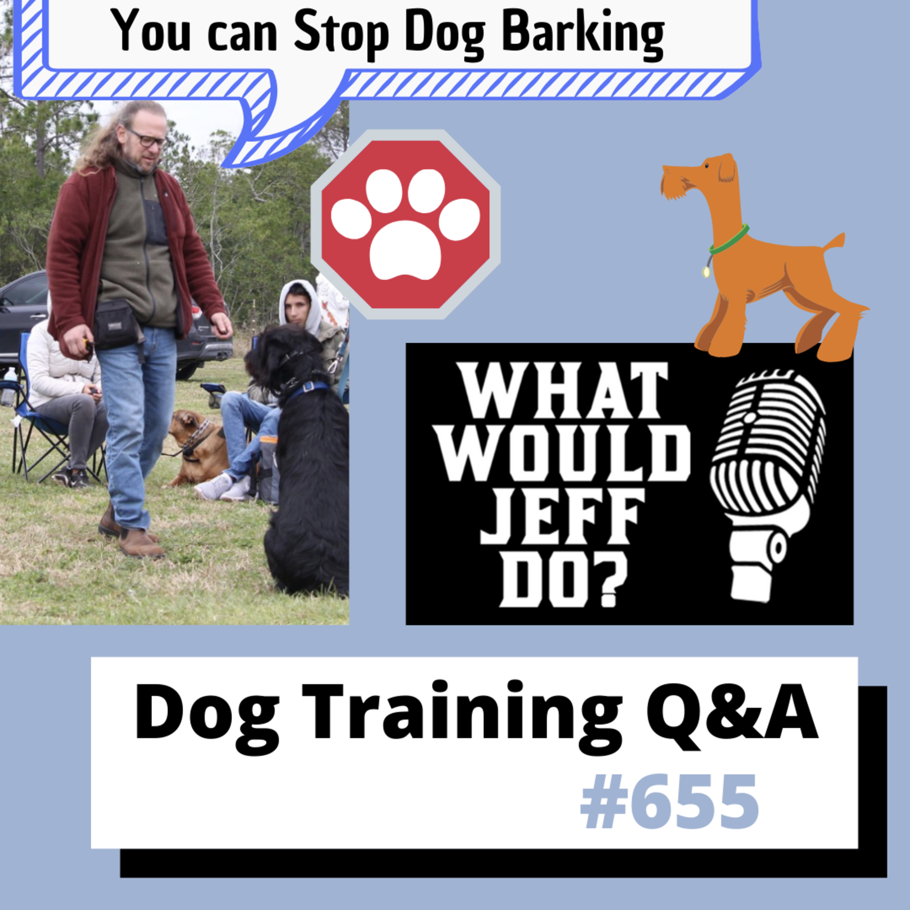 Dog Training Q & A What Would Jeff Do? With Jeff Gellman of Solid K9 Training