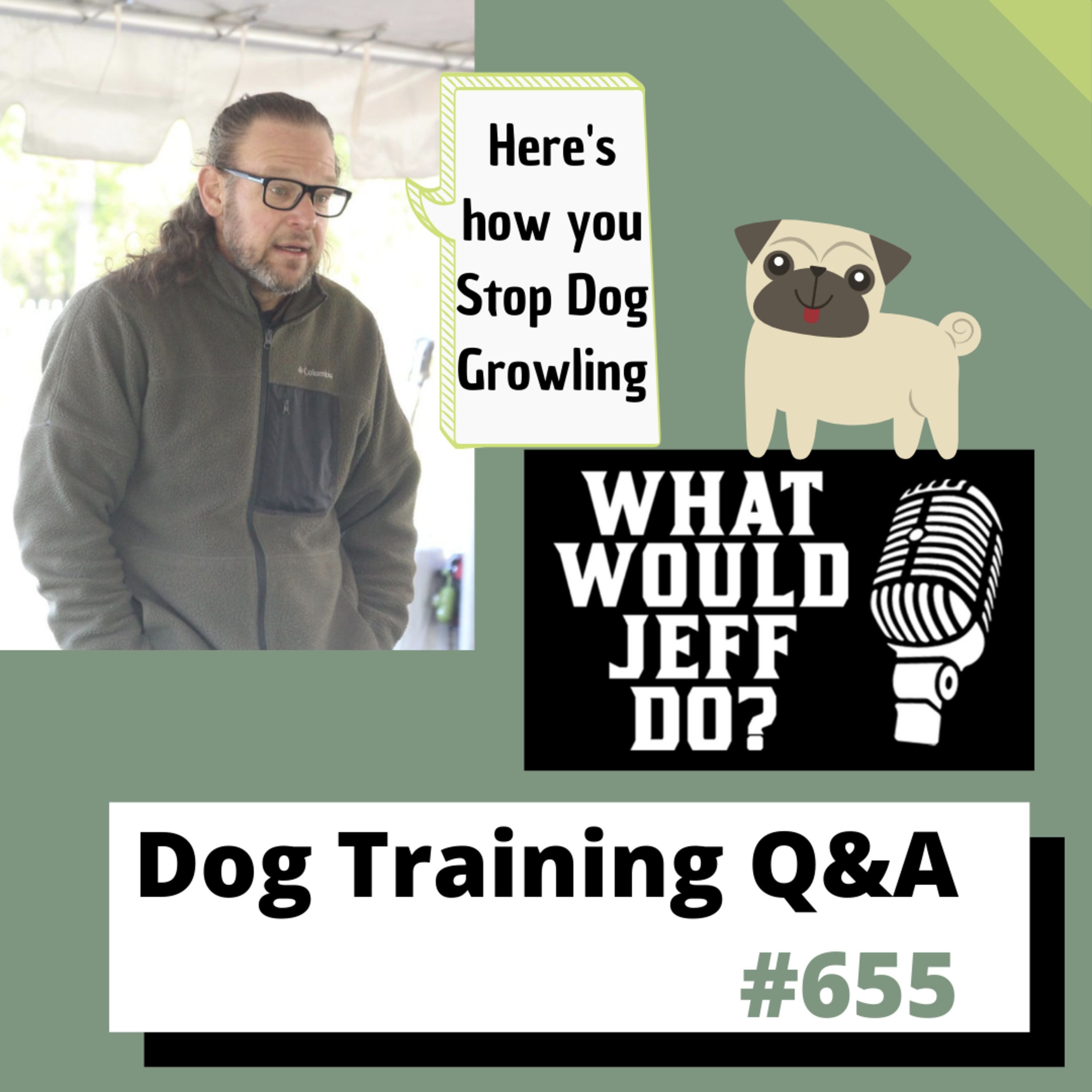 Dog Training Q & A What Would Jeff Do? With Jeff Gellman of Solid K9 Training