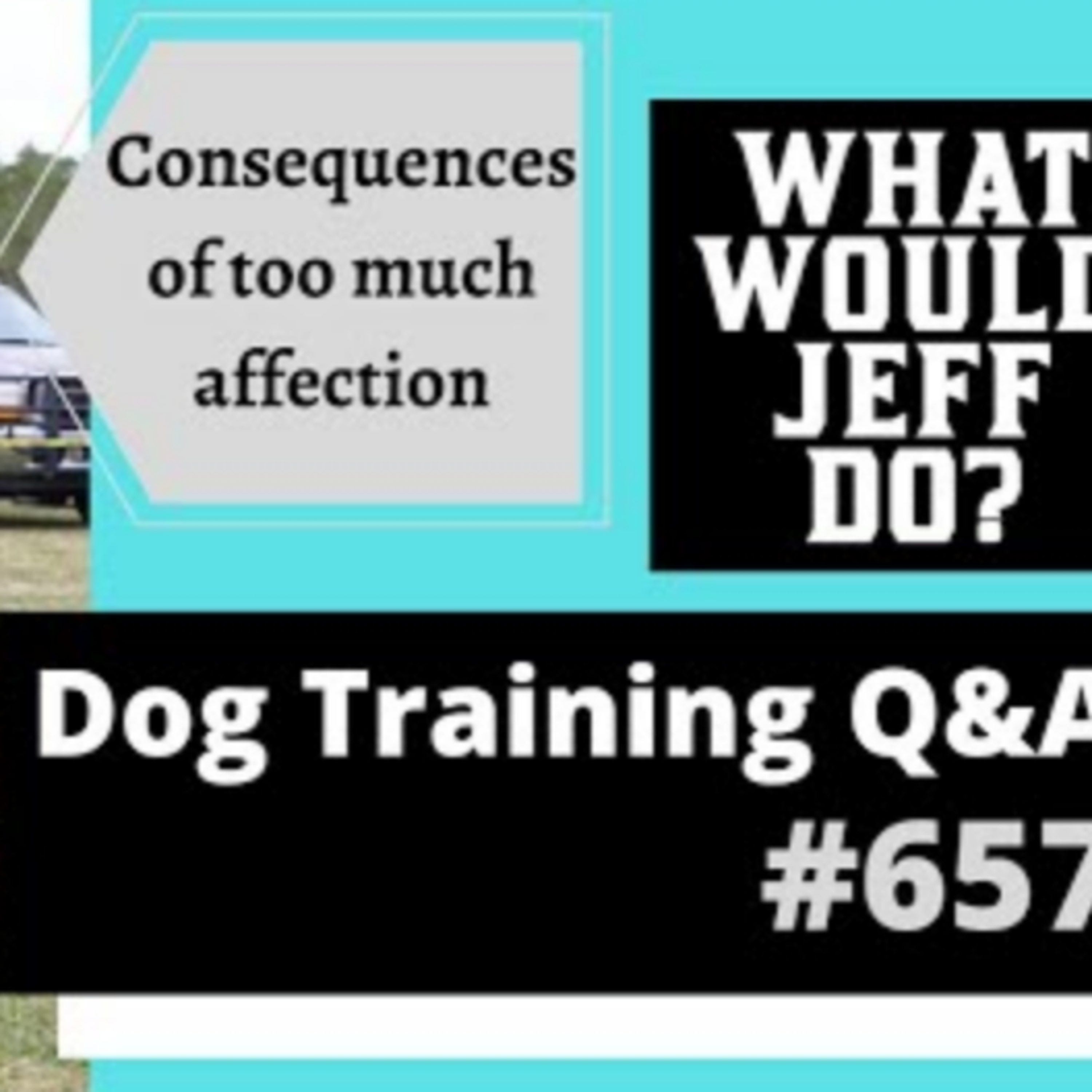 Dog Training Q & A Counter Conditioning, Too Much Affection, Littermate Problems #657 episode artwork