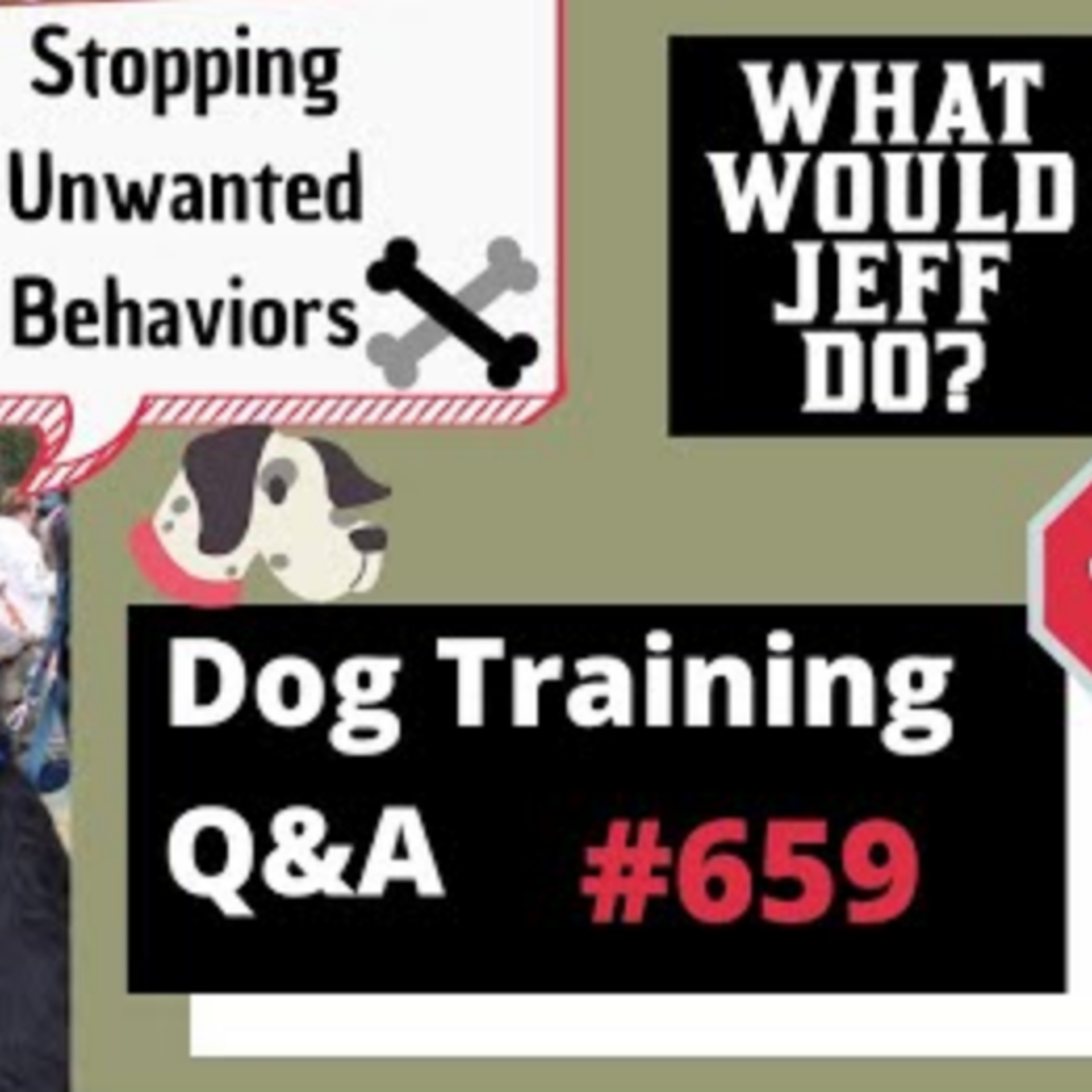 Dog Training Q & A What Would Jeff Do? With Jeff Gellman of Solid K9 Training