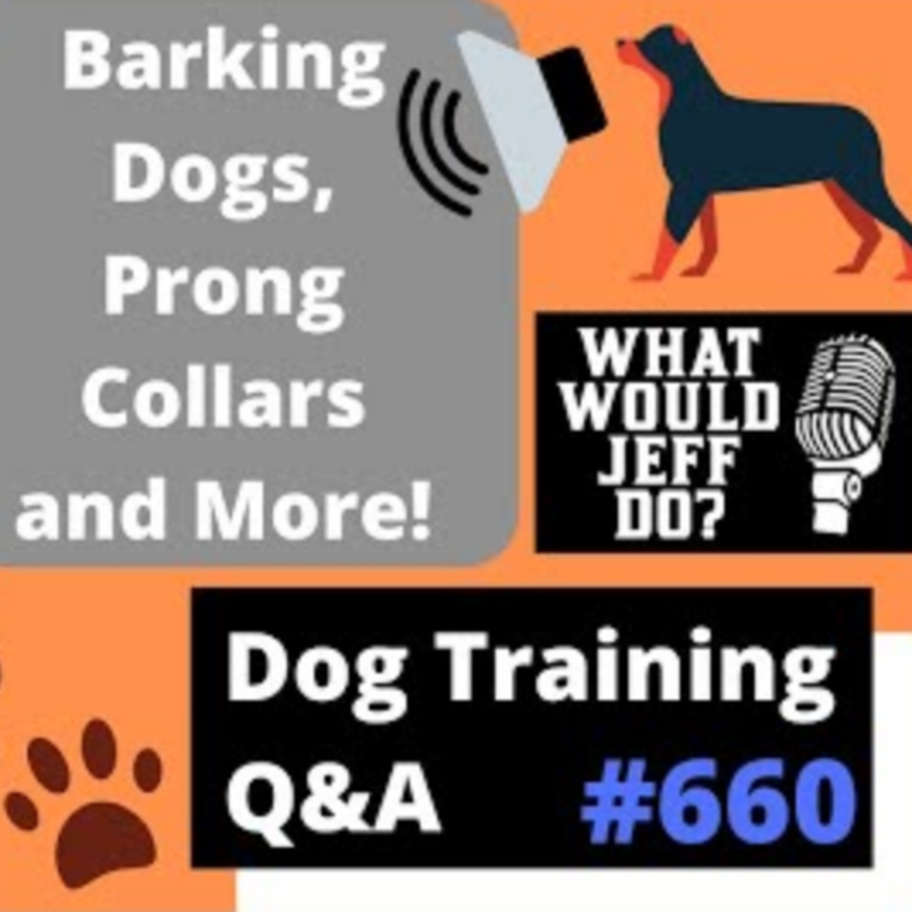 Dog Training Q & A What Would Jeff Do? With Jeff Gellman of Solid K9 Training