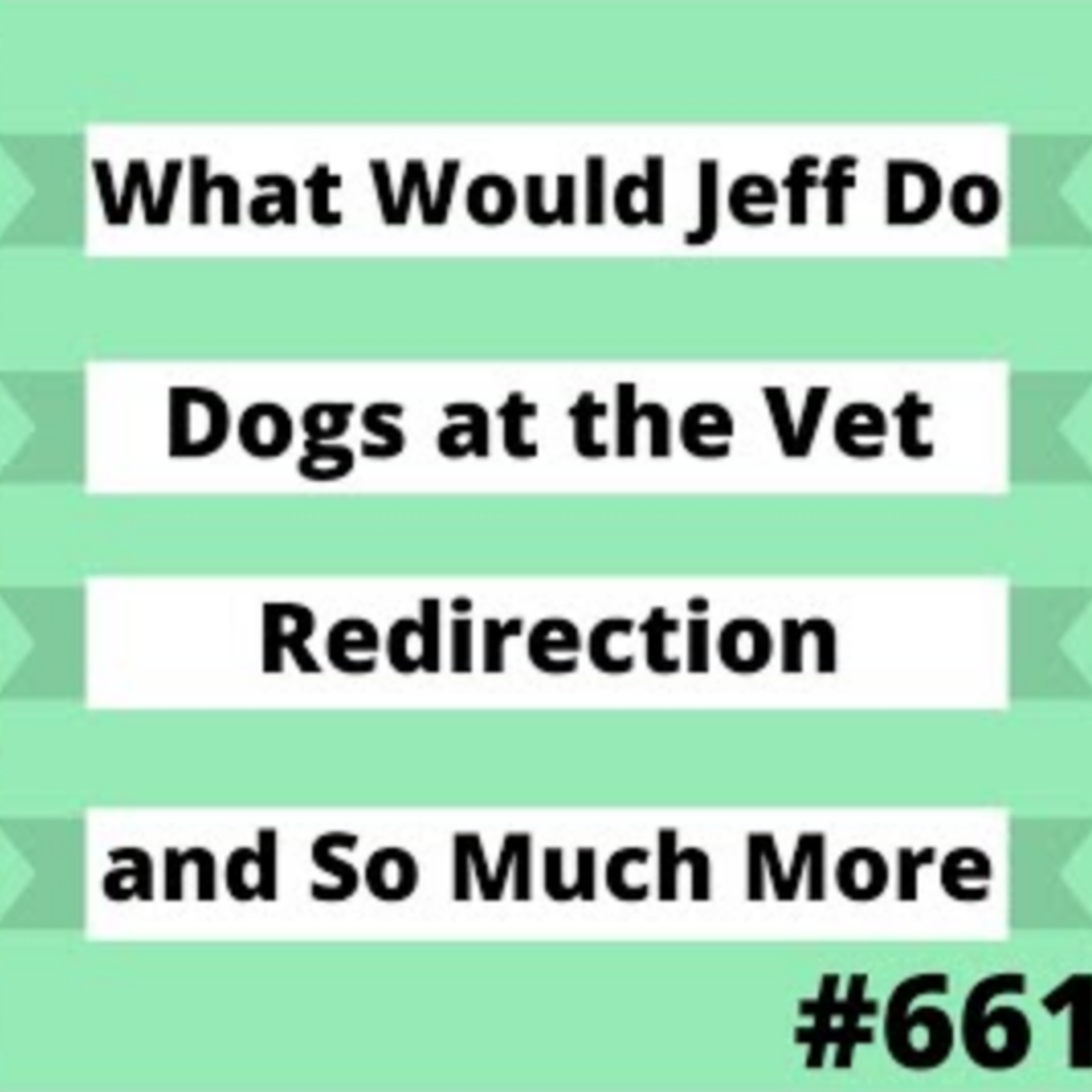 Dog Training Q & A What Would Jeff Do? With Jeff Gellman of Solid K9 Training