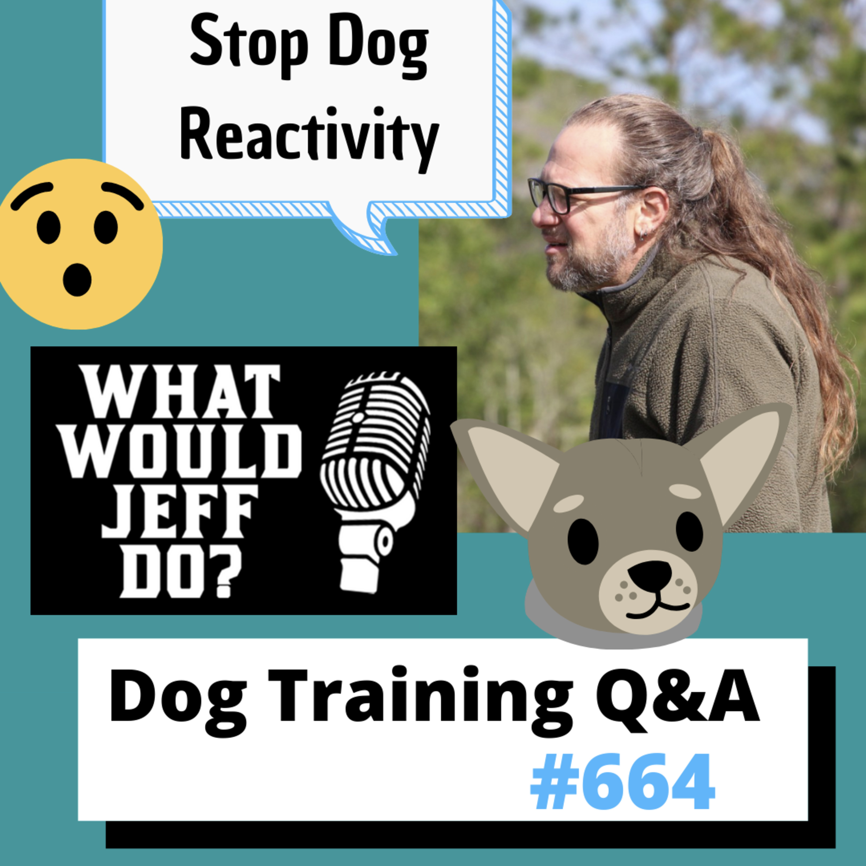 Dog Training Q & A What Would Jeff Do? With Jeff Gellman of Solid K9 Training