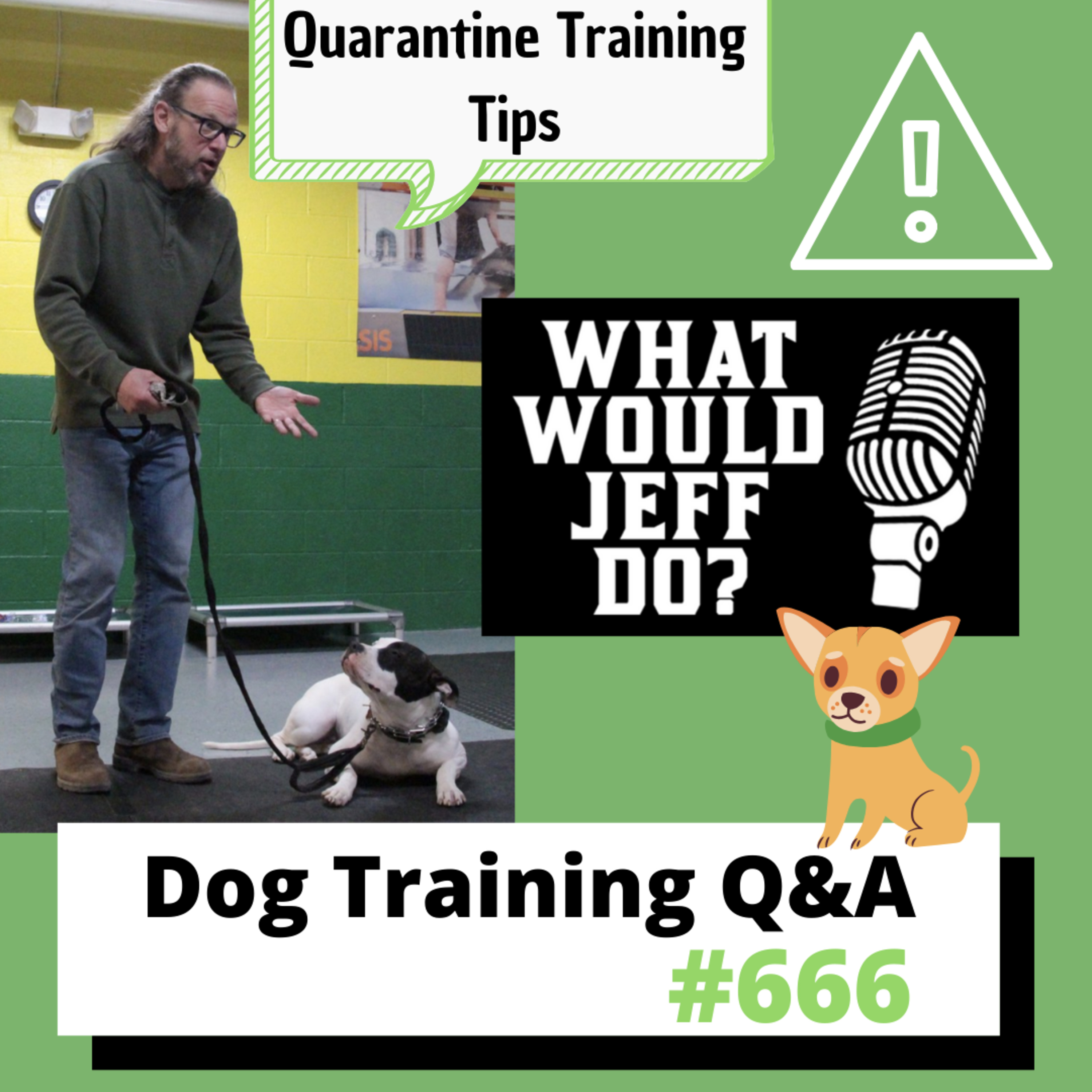 Dog Training Q & A What Would Jeff Do? With Jeff Gellman of Solid K9 Training