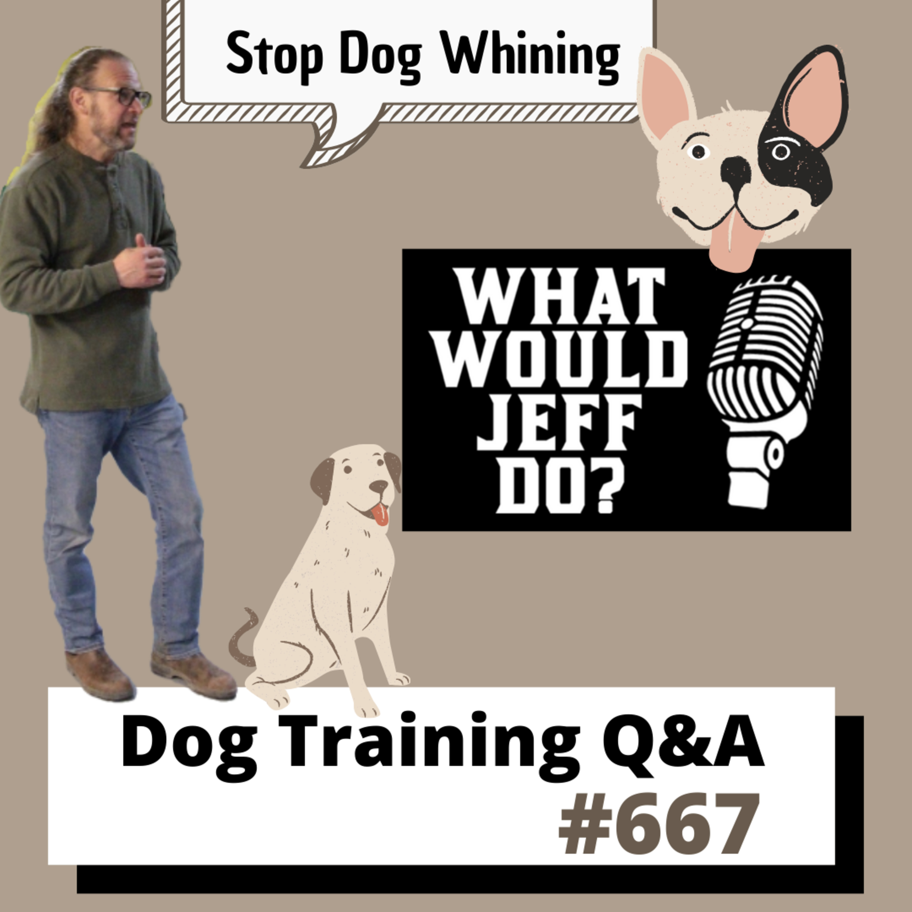 Dog Training Q & A What Would Jeff Do? With Jeff Gellman of Solid K9 Training