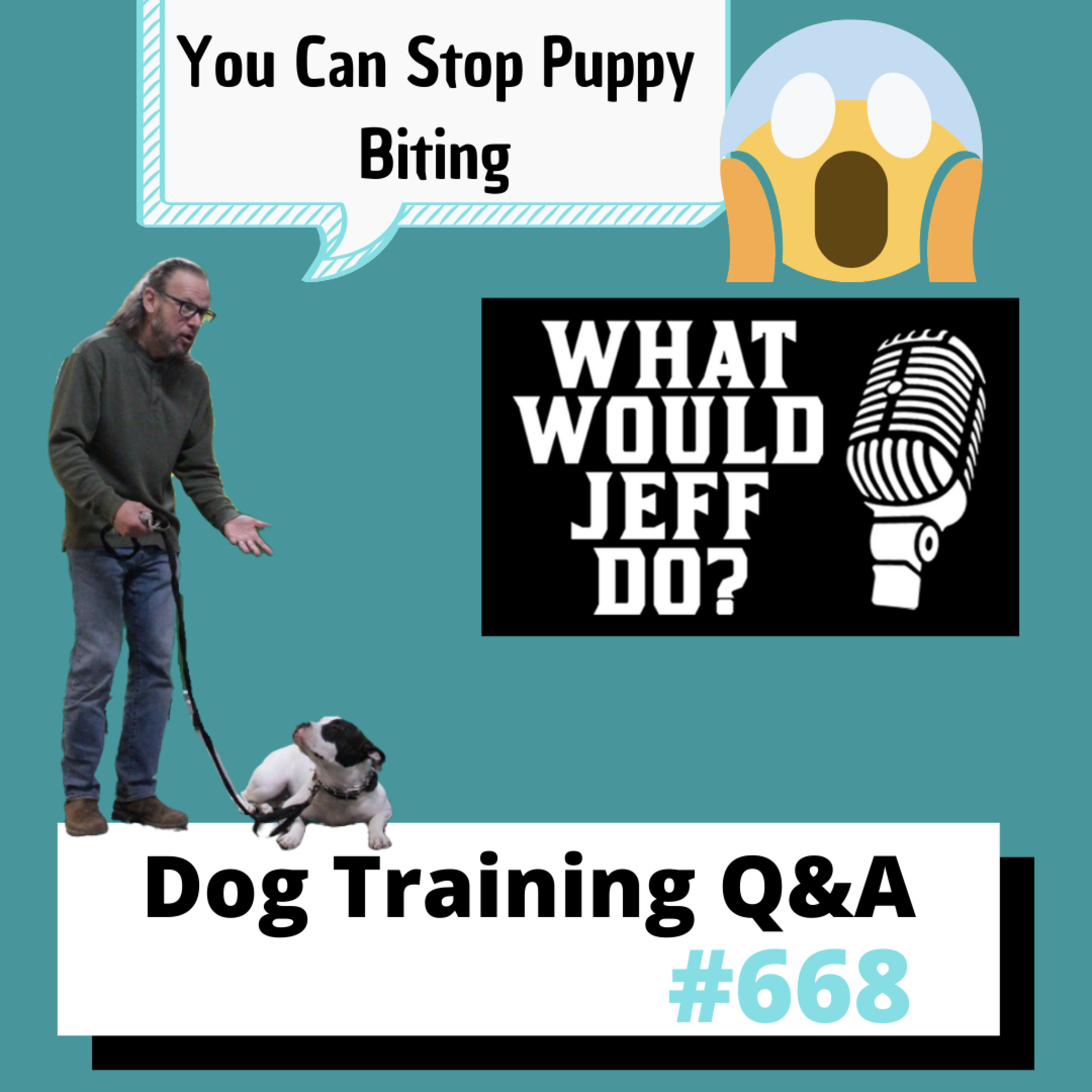 Dog Training Q & A What Would Jeff Do? With Jeff Gellman of Solid K9 Training