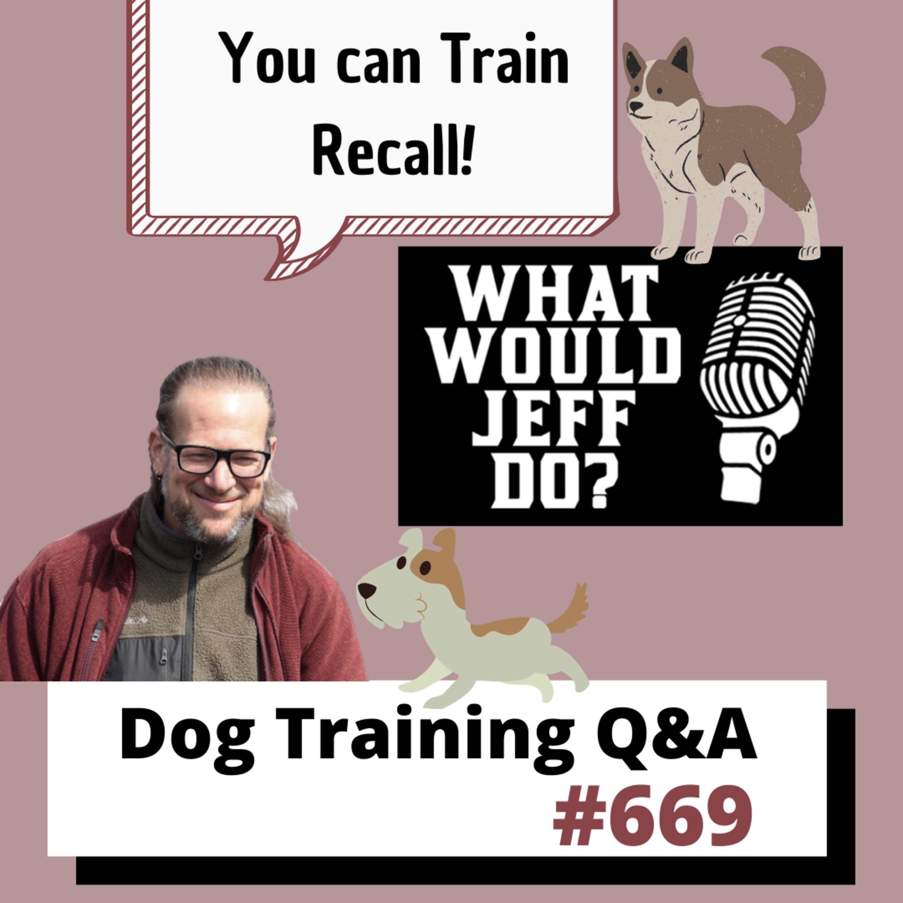Dog Training Q & A What Would Jeff Do? With Jeff Gellman of Solid K9 Training