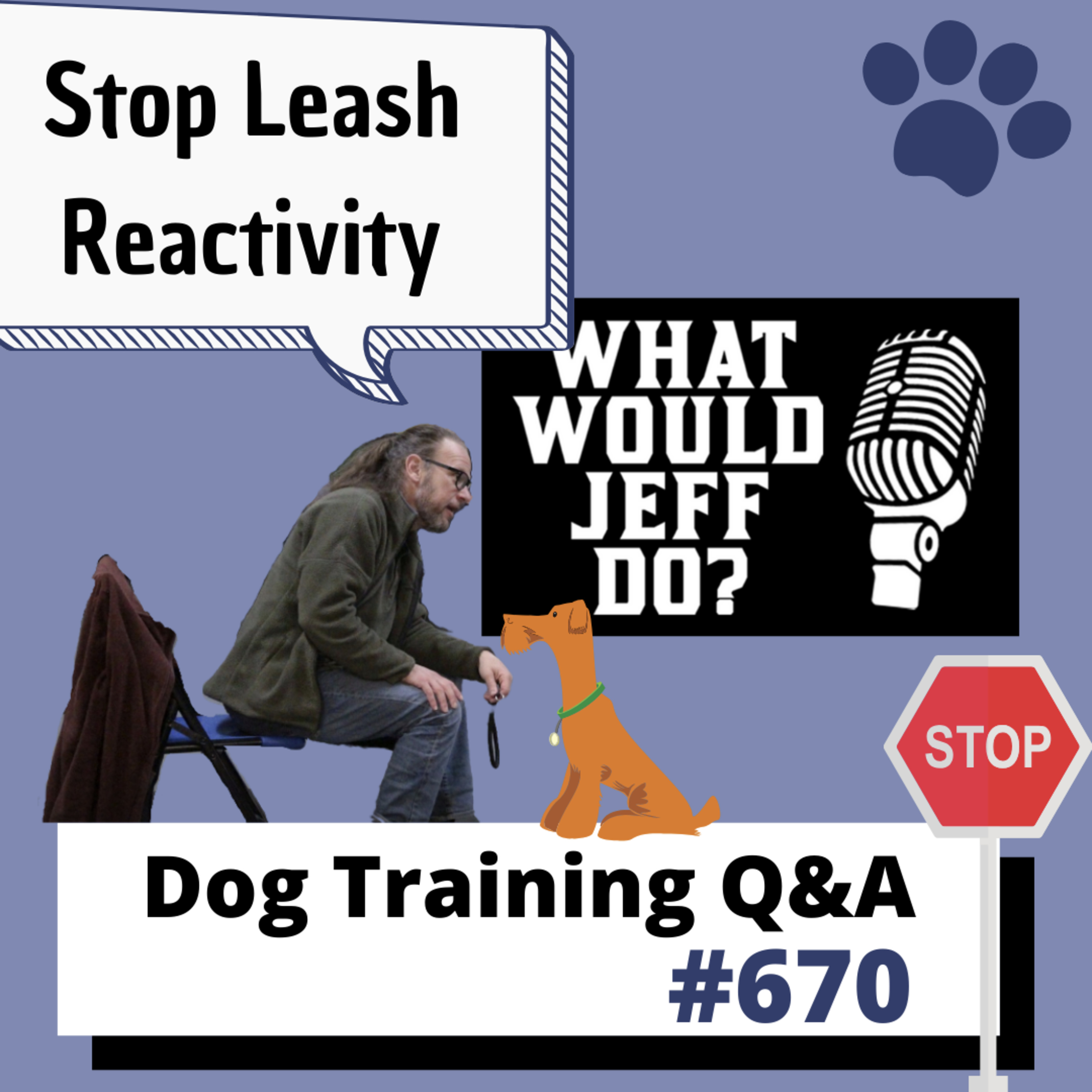 Dog Training Q & A What Would Jeff Do? With Jeff Gellman of Solid K9 Training
