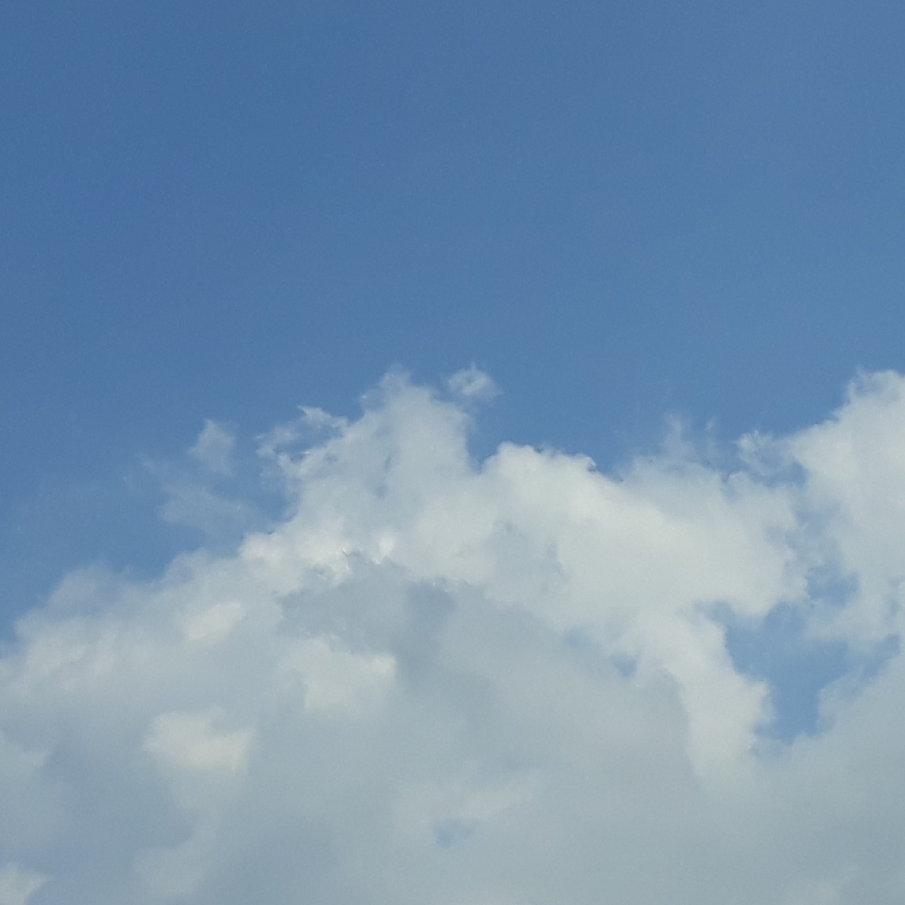 El Perro Que Deseaba Ser Un Ser Humano