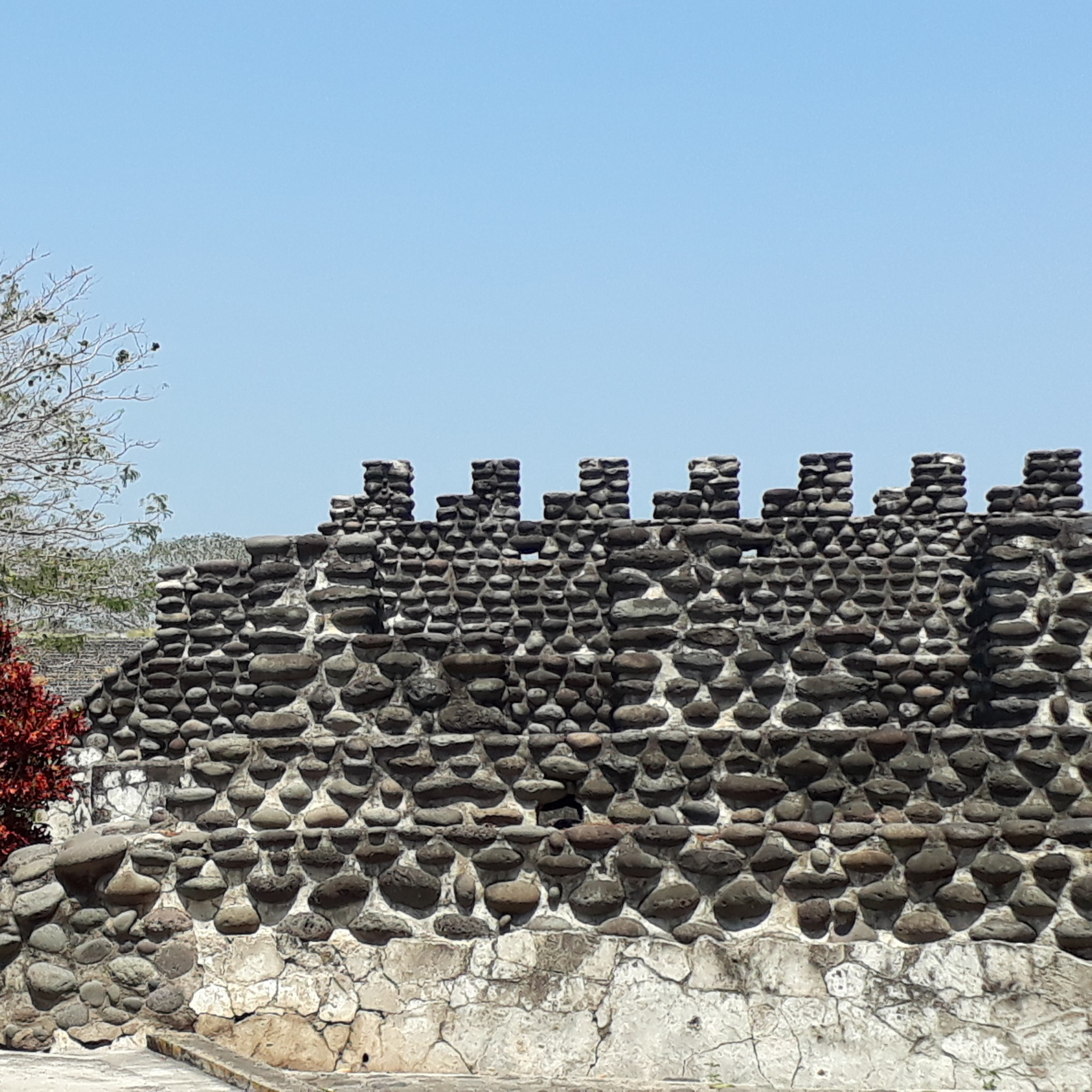 El Perro Que Deseaba Ser Un Ser Humano