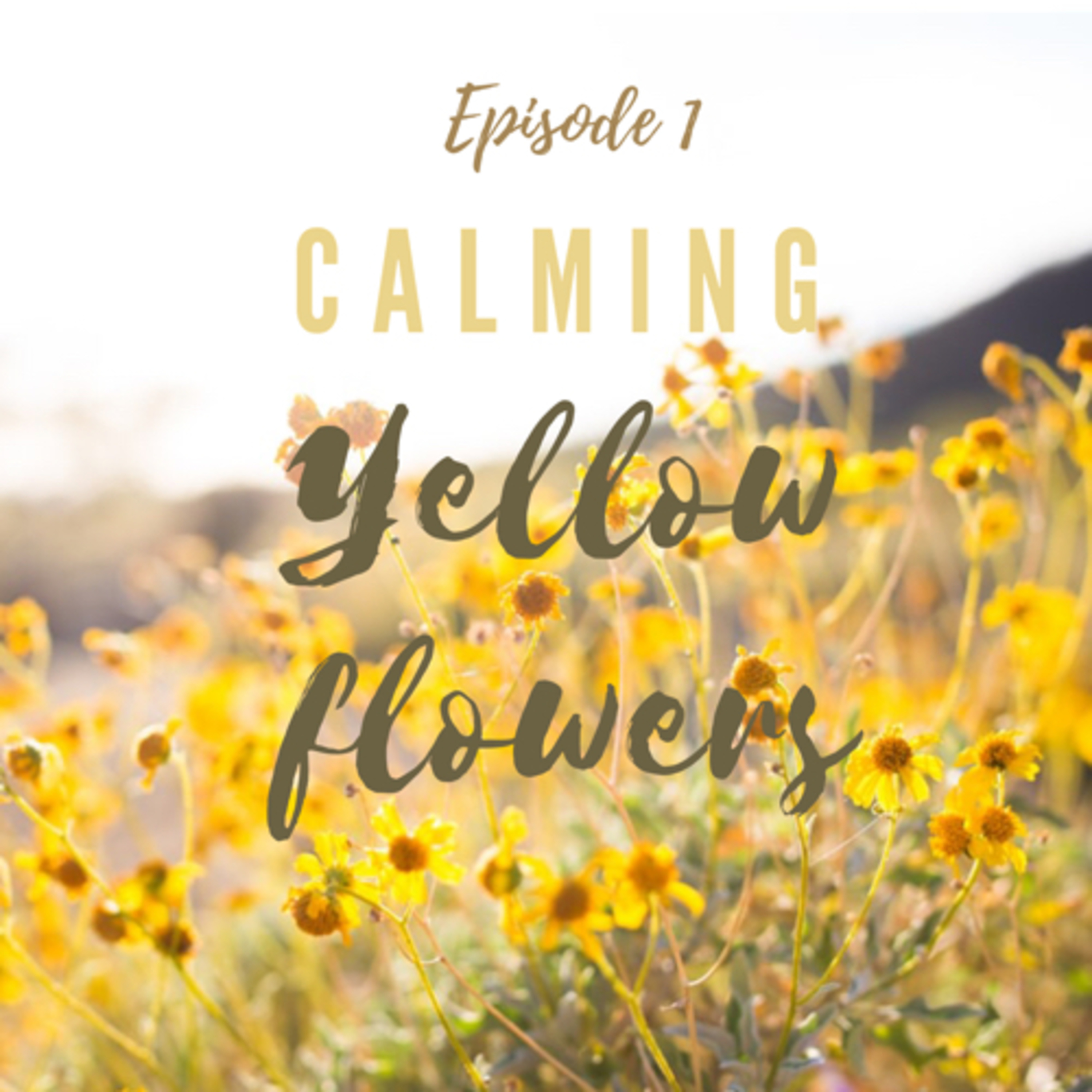 Happy Chill Fun Time