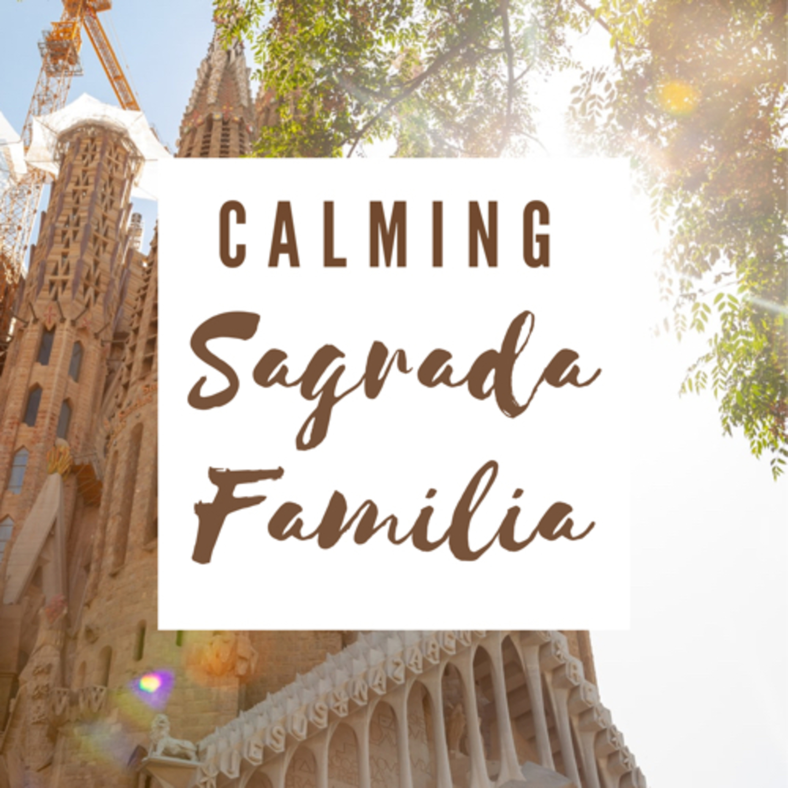 Happy Chill Fun Time