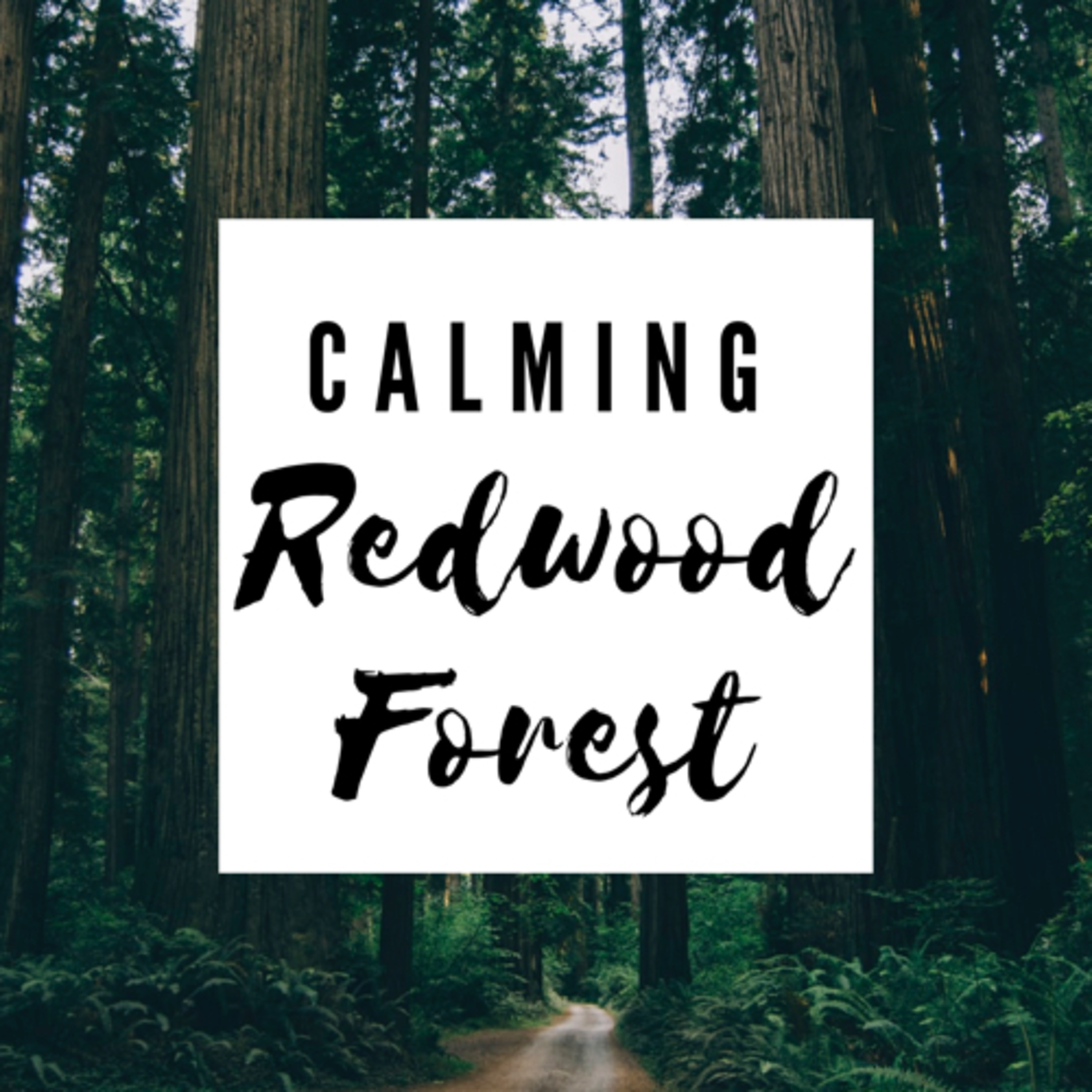 Happy Chill Fun Time