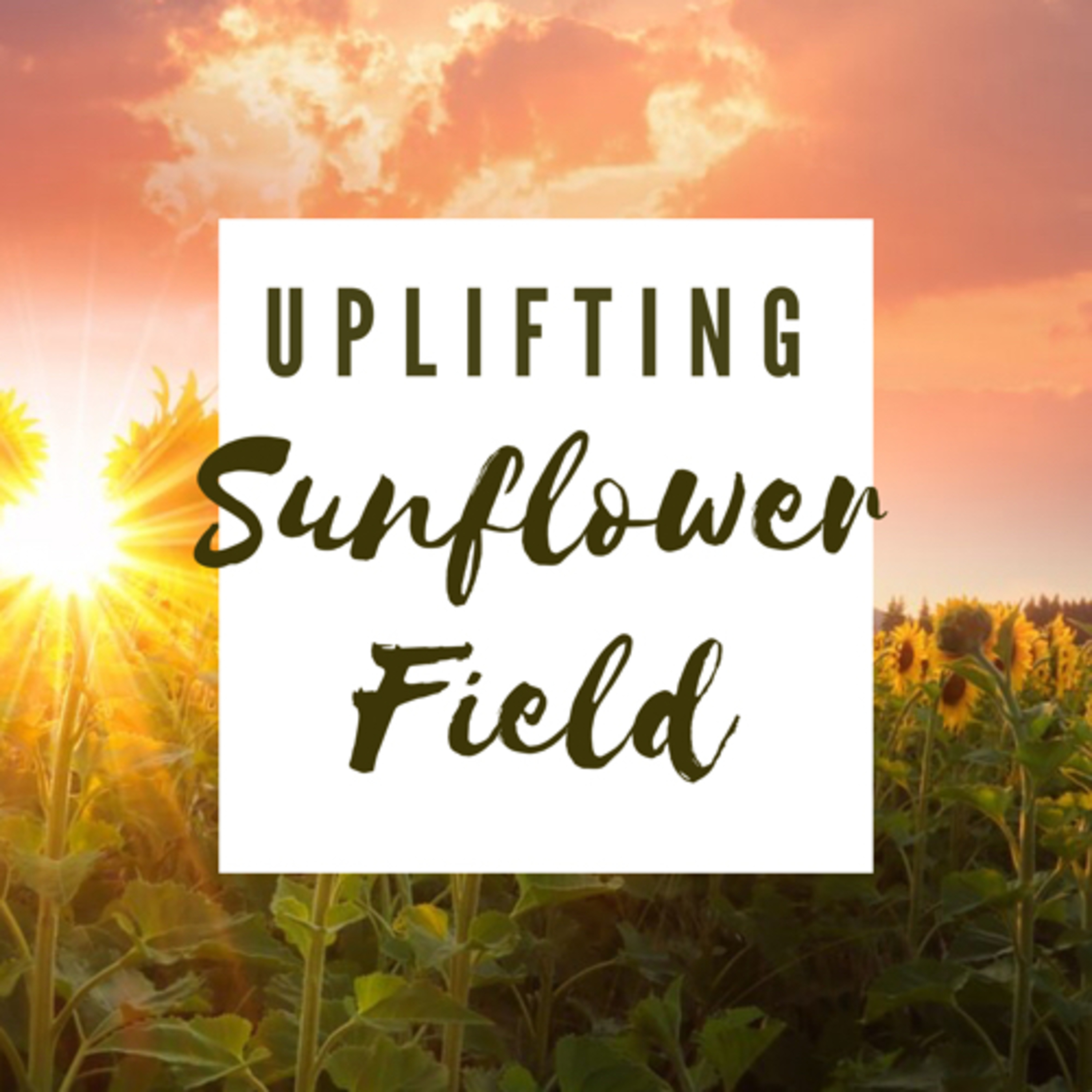 Happy Chill Fun Time