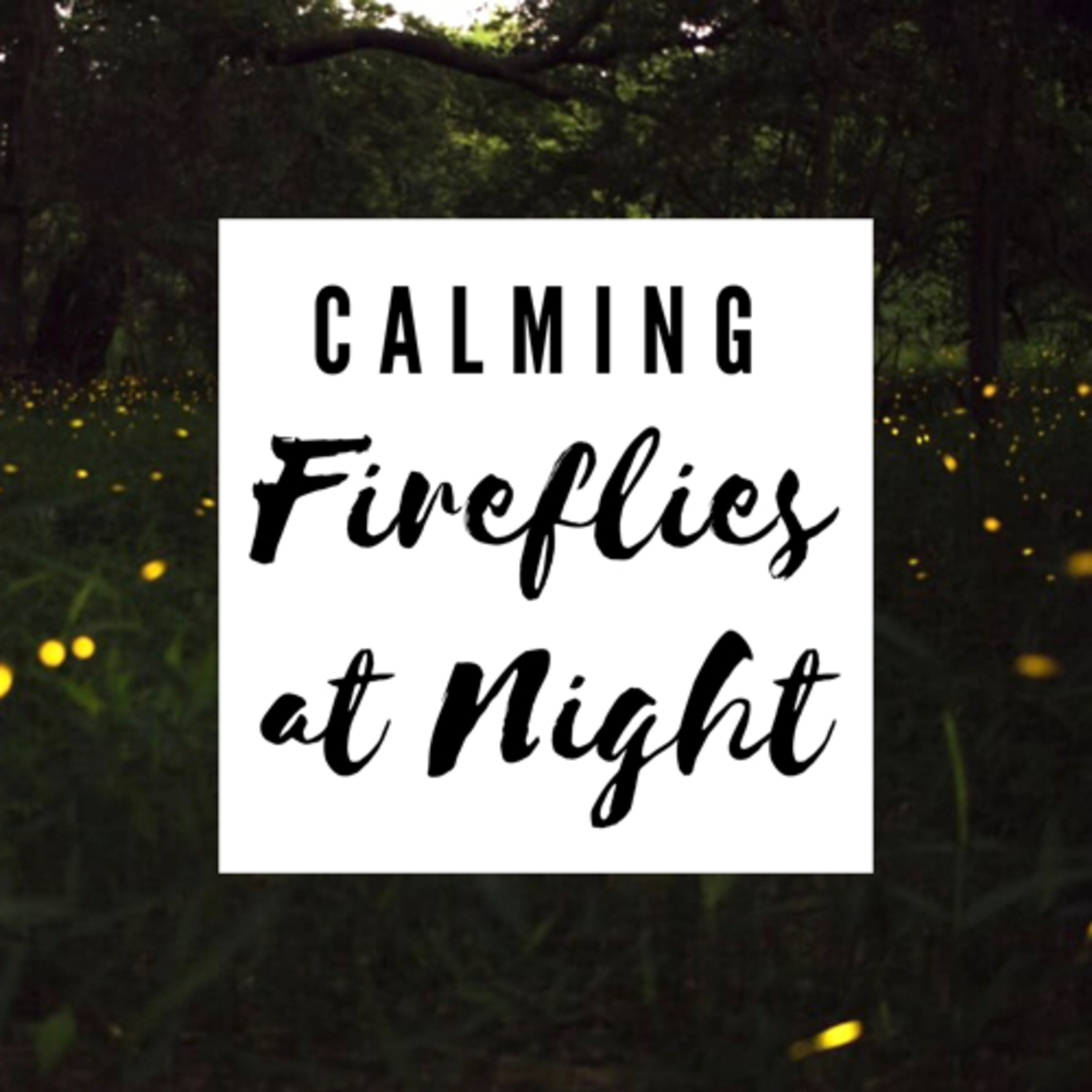 Happy Chill Fun Time