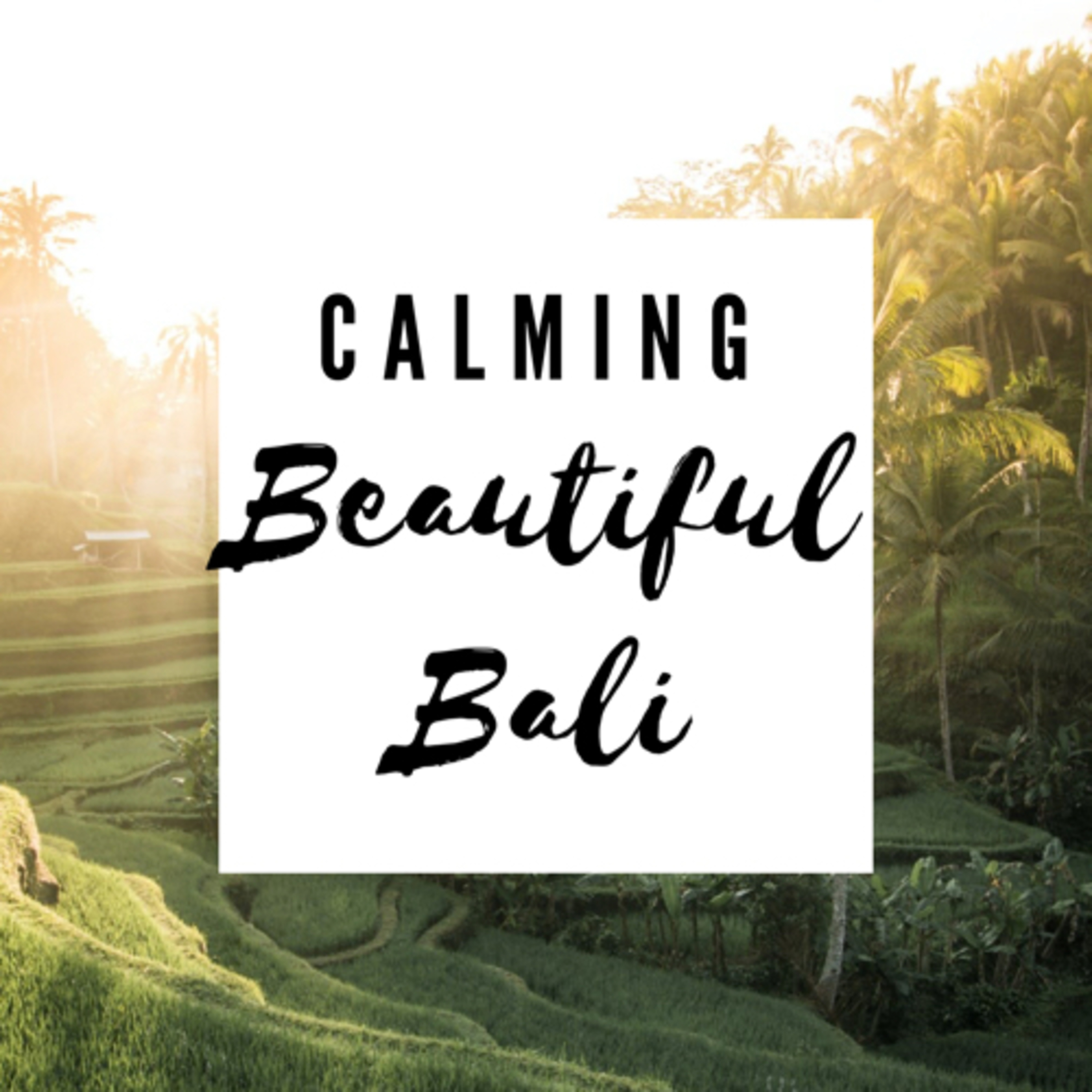 Happy Chill Fun Time