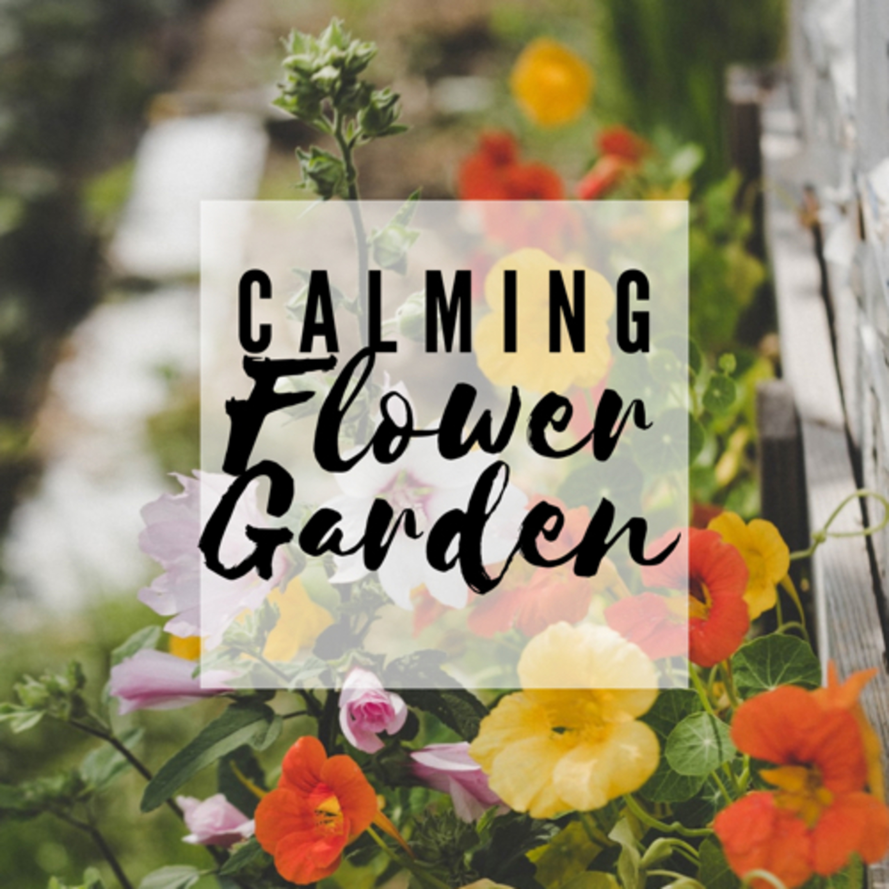Calming Flower Garden Calming Flower Garden