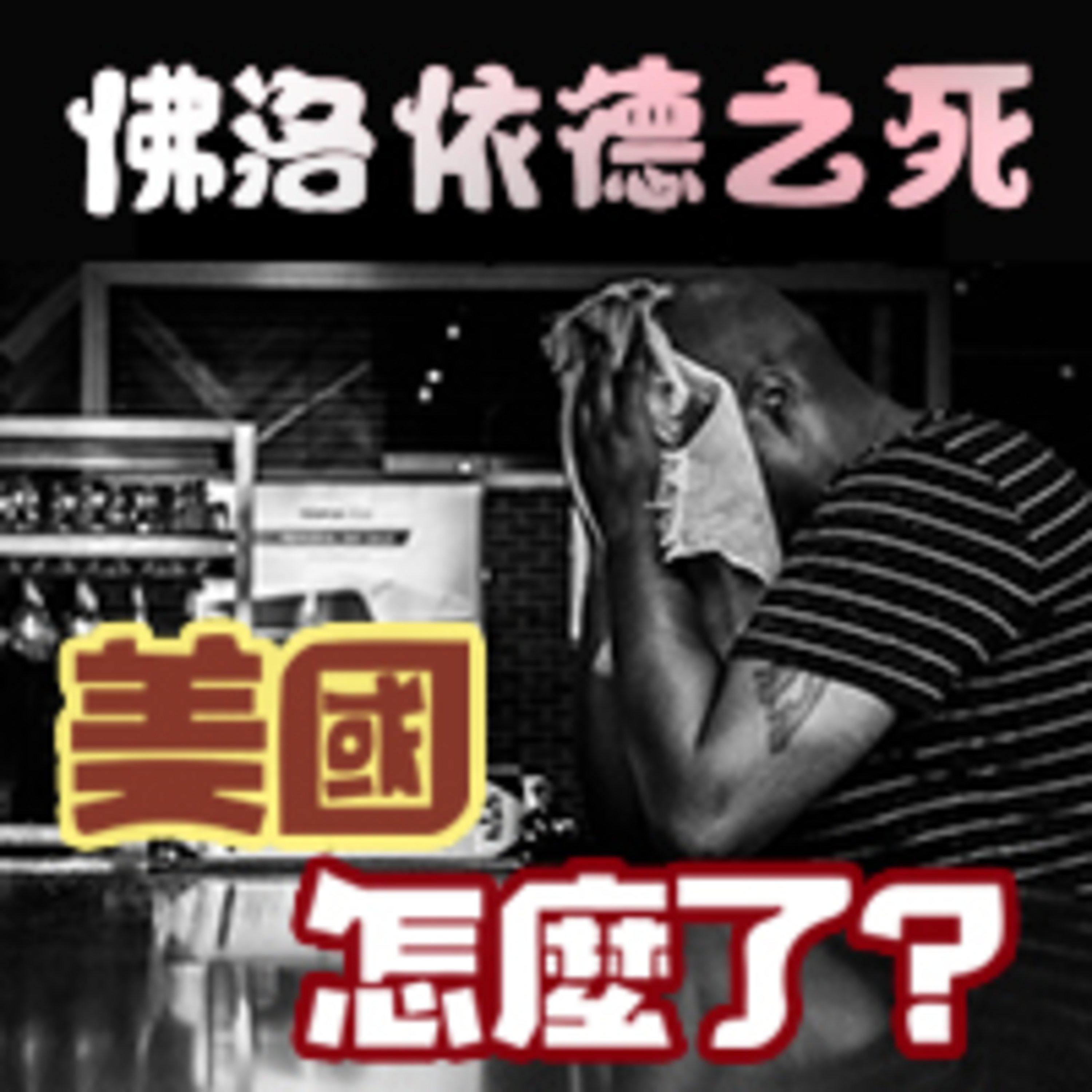 美國怎麼了? 佛洛伊德之死 episode artwork