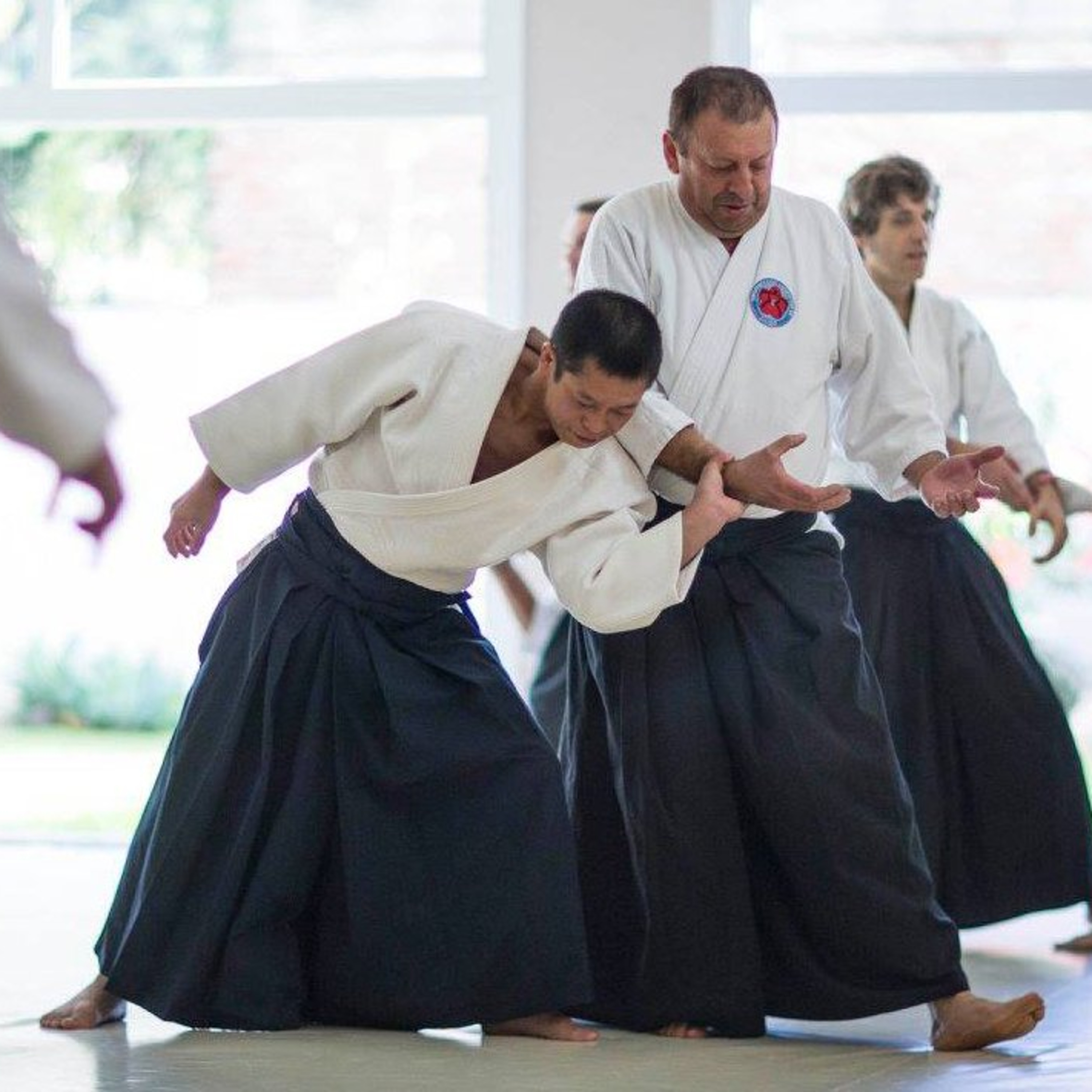 Aikido - El Arte De La Paz