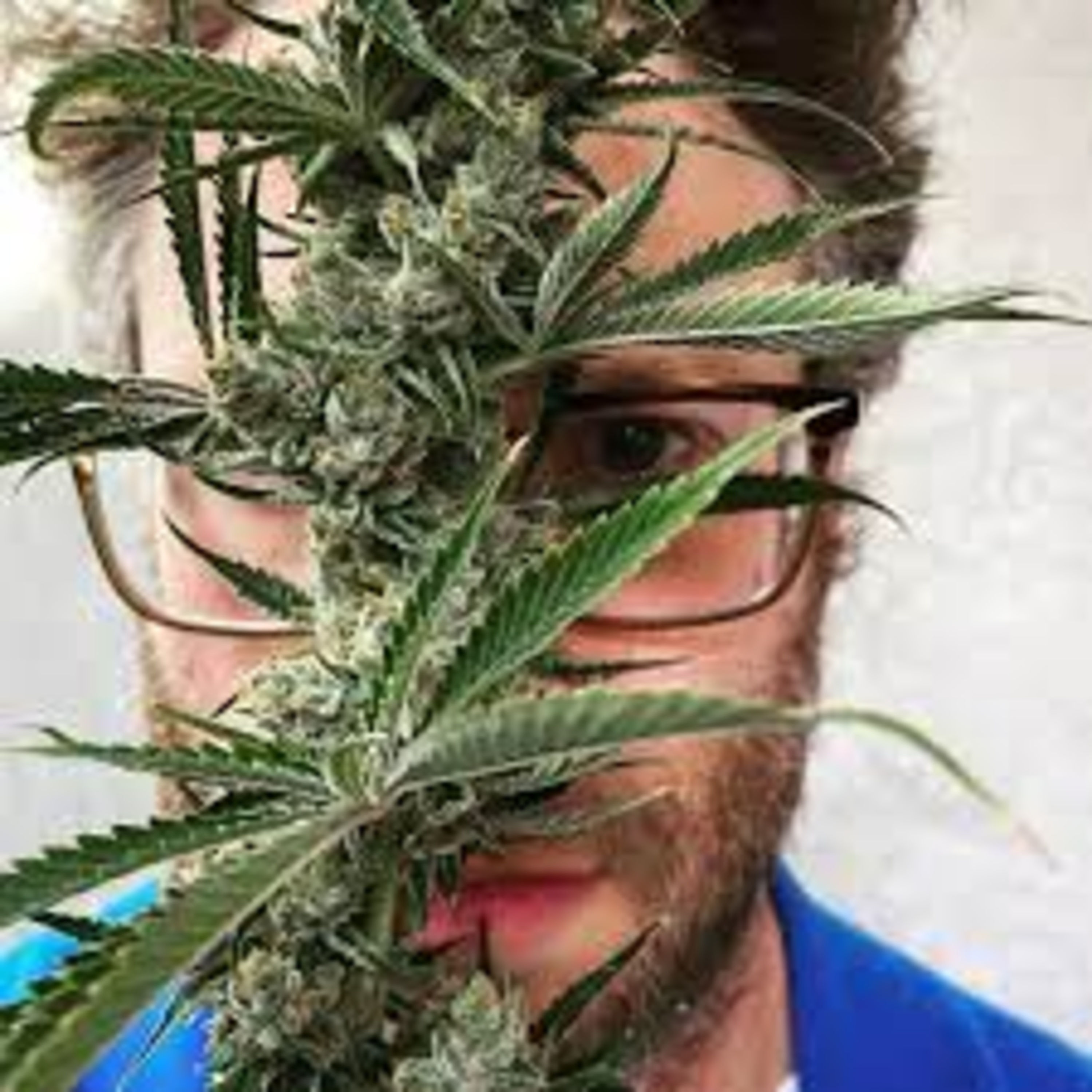 How Psychedelics Work, Jud Brewer's Mindfulness, Seth Rogen's Cannabis Use | LPP Podcast