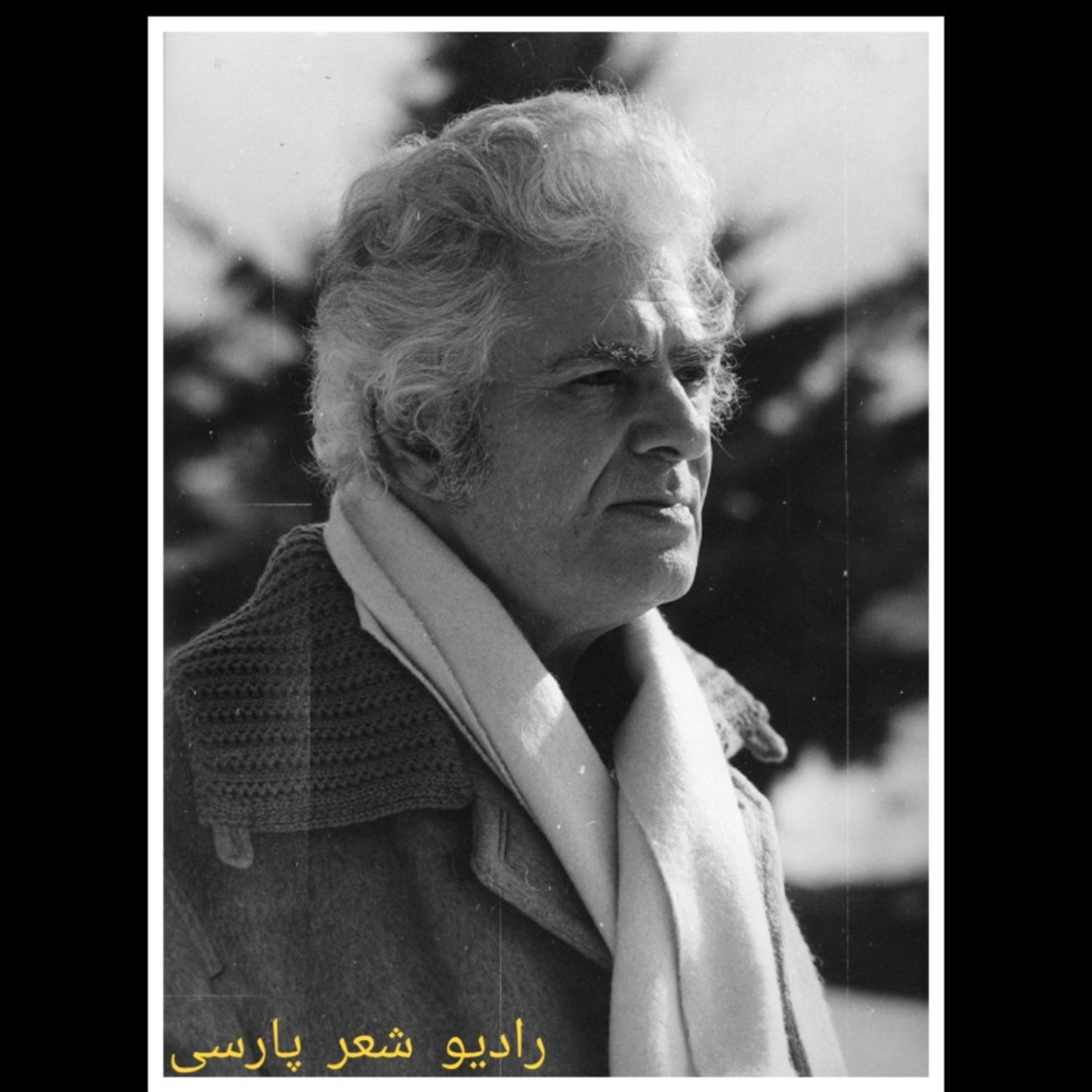 کاور چیدن سپیده دم . مارگوت بیگل . ترجمه و صدا احمد شاملو