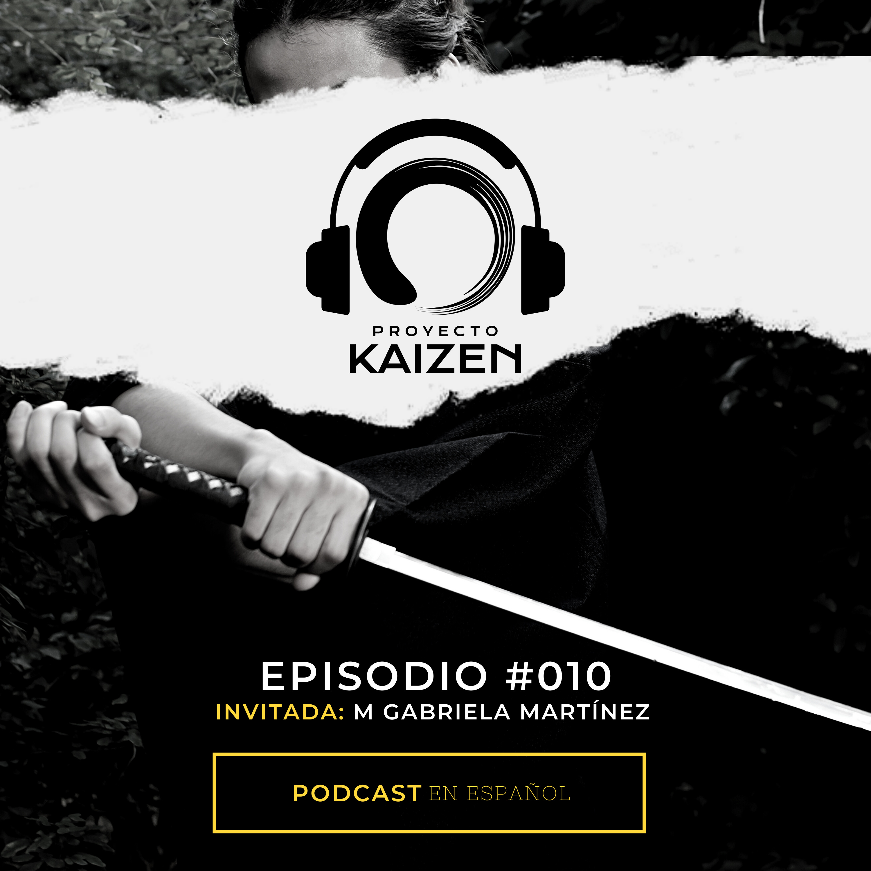 Proyecto Kaizen