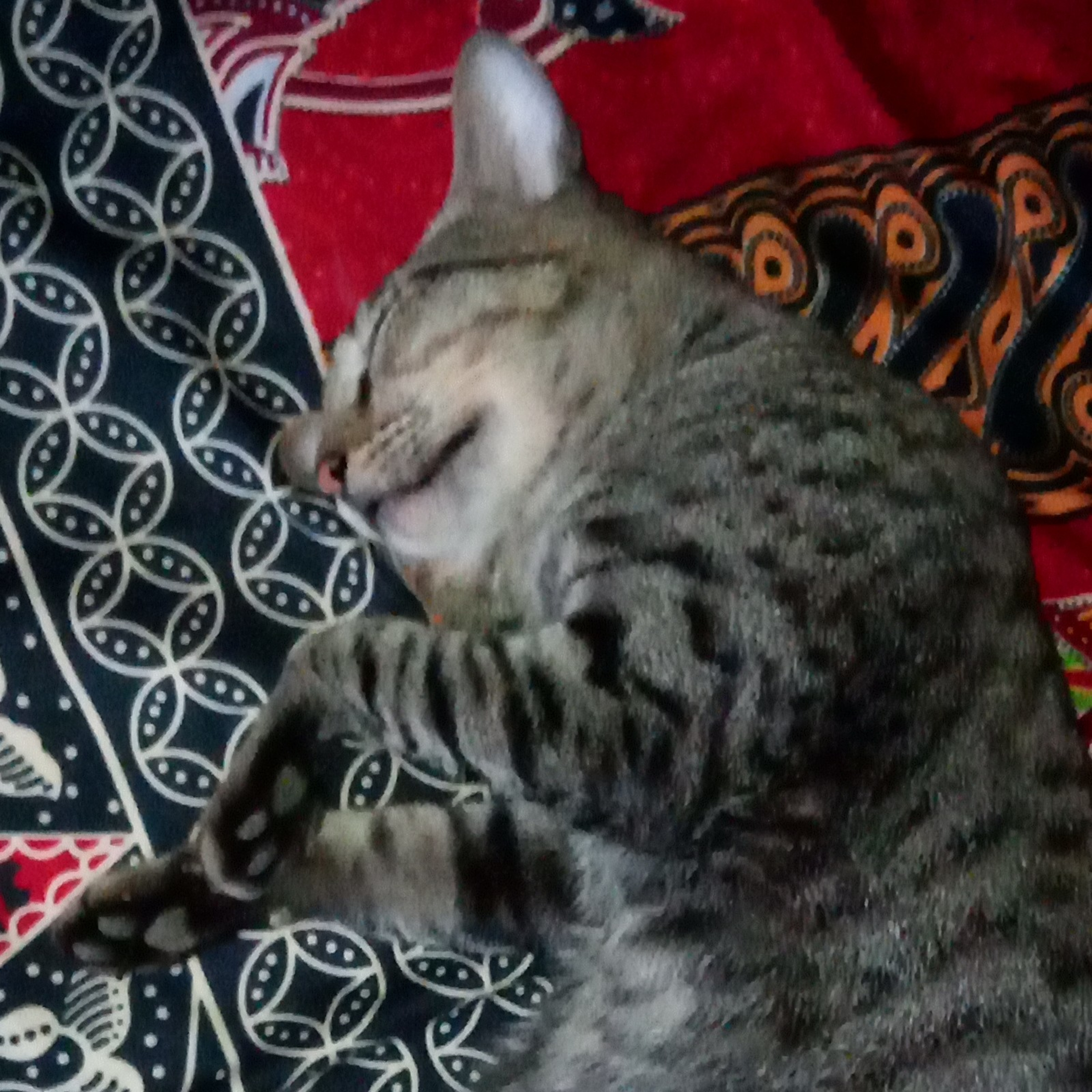 04-AkMengaji hari ke 5 surah Al fatihah