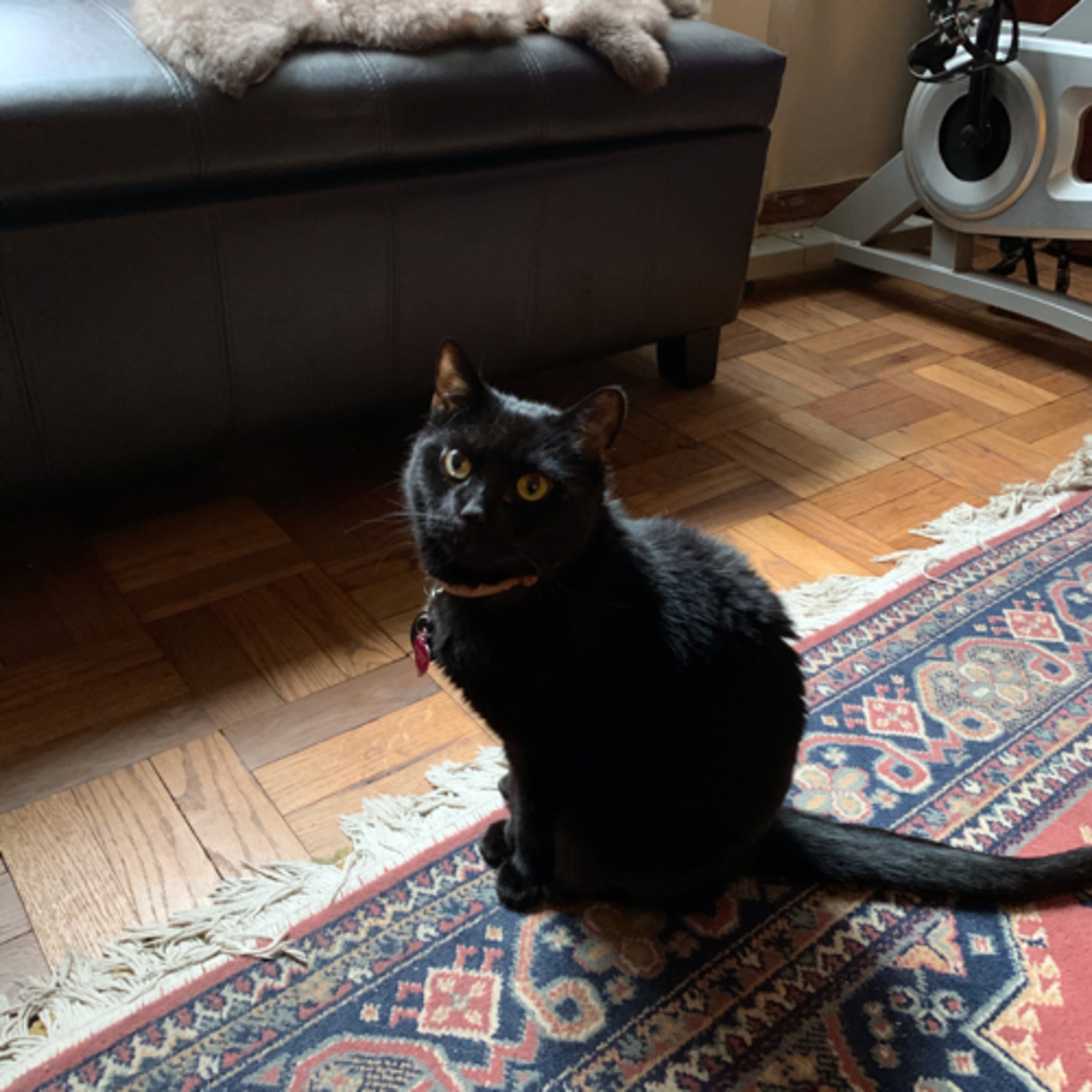 Some Things Are Better RAW