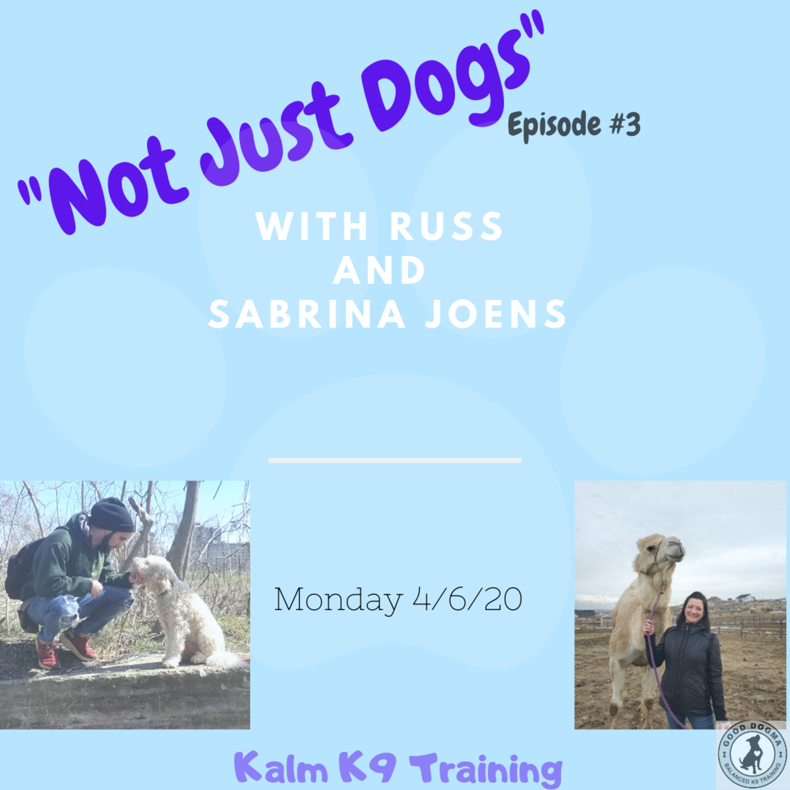 Not Just Dogs