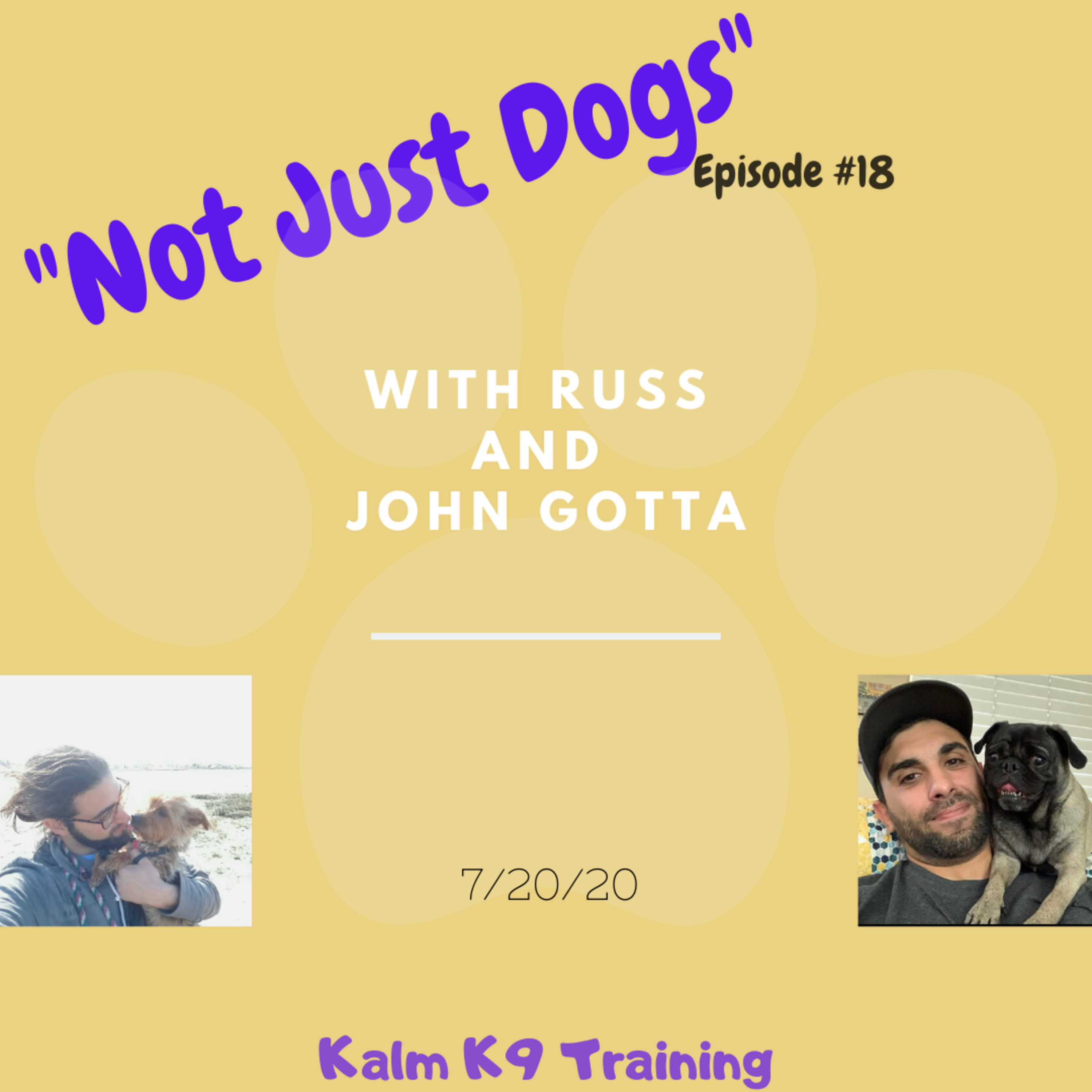 Not Just Dogs