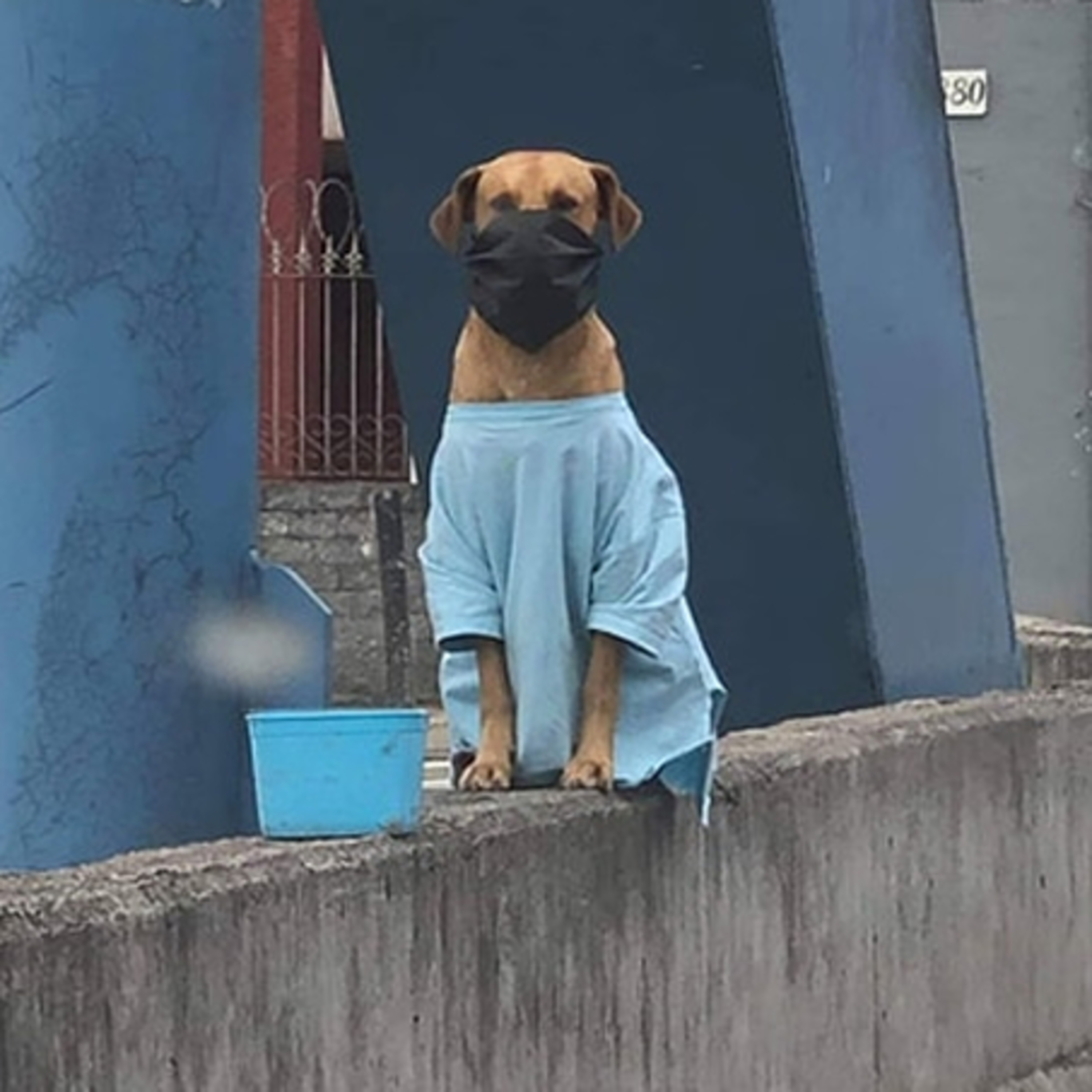 THIS IS BRAZIL