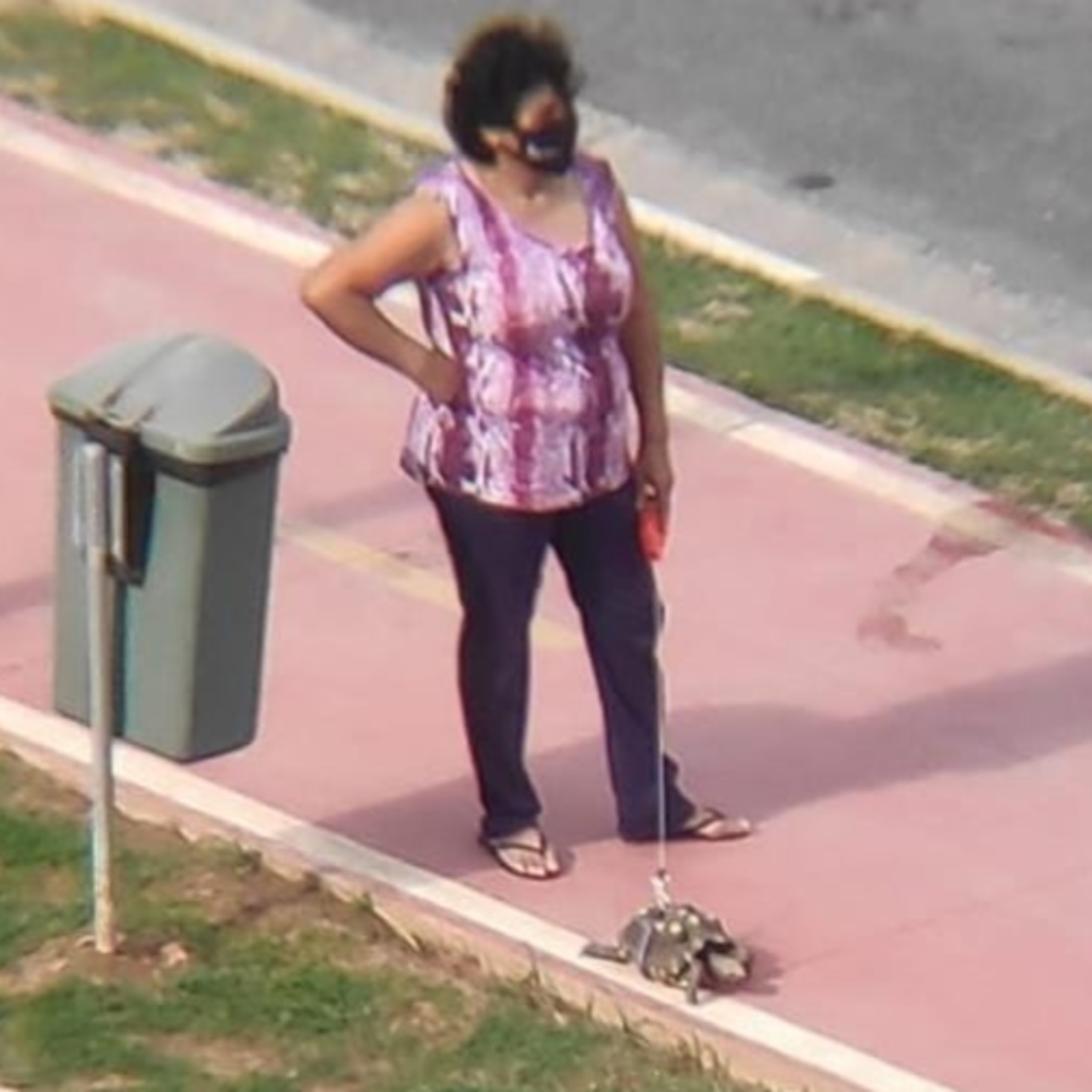 THIS IS BRAZIL