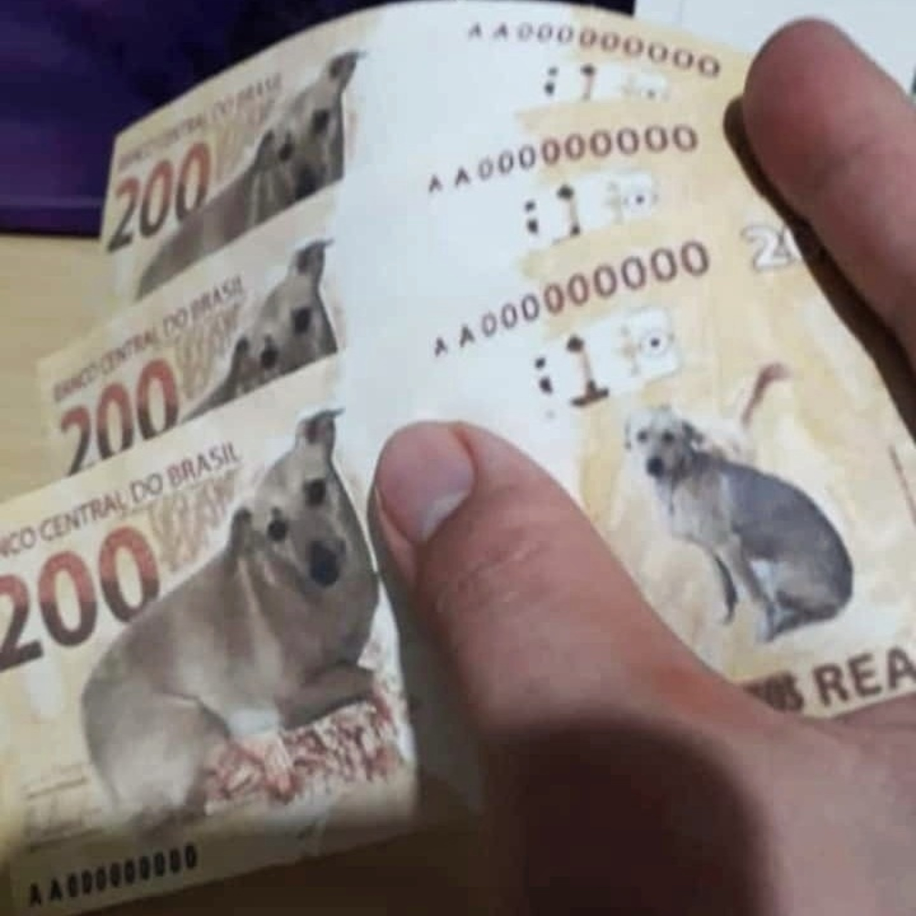 THIS IS BRAZIL