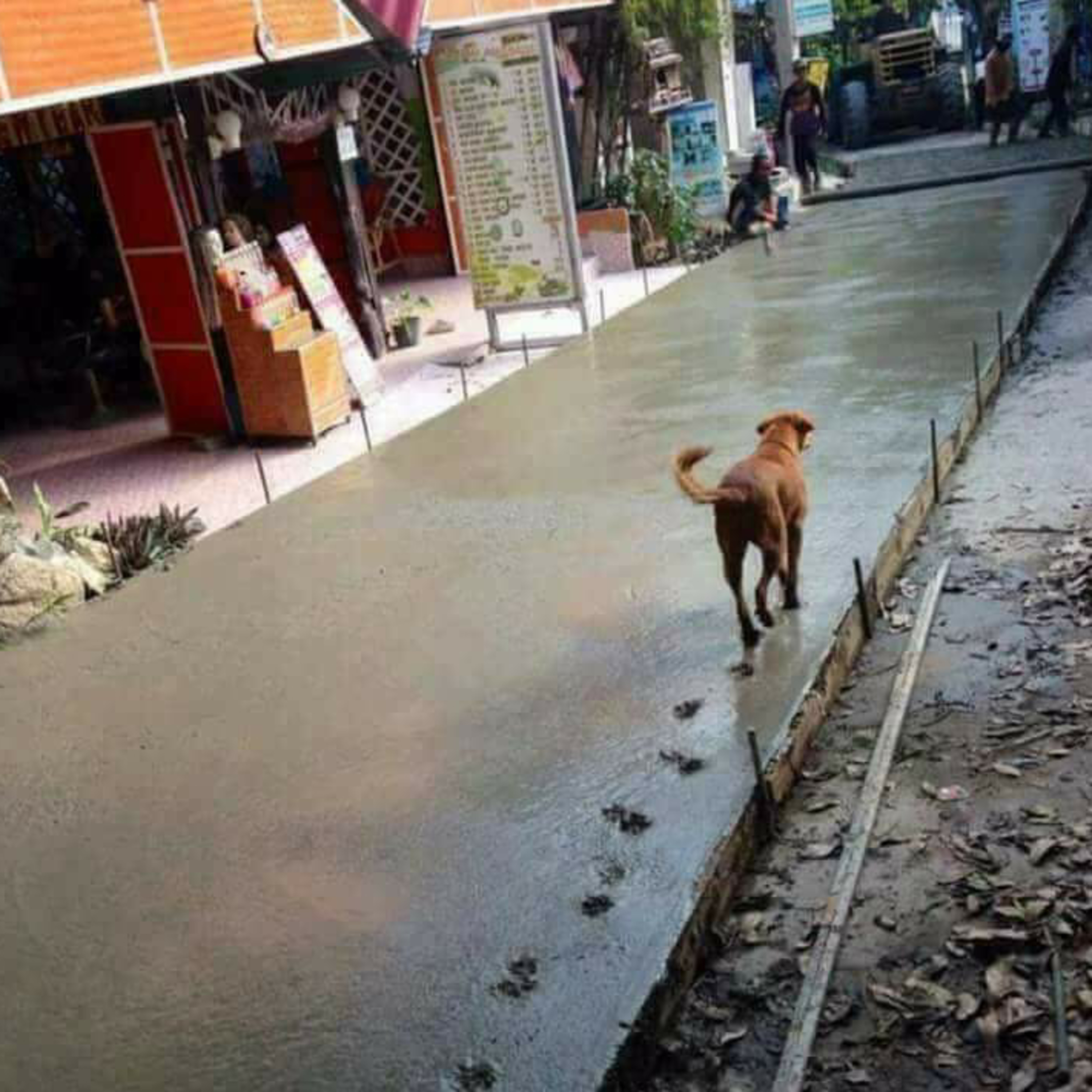 THIS IS BRAZIL