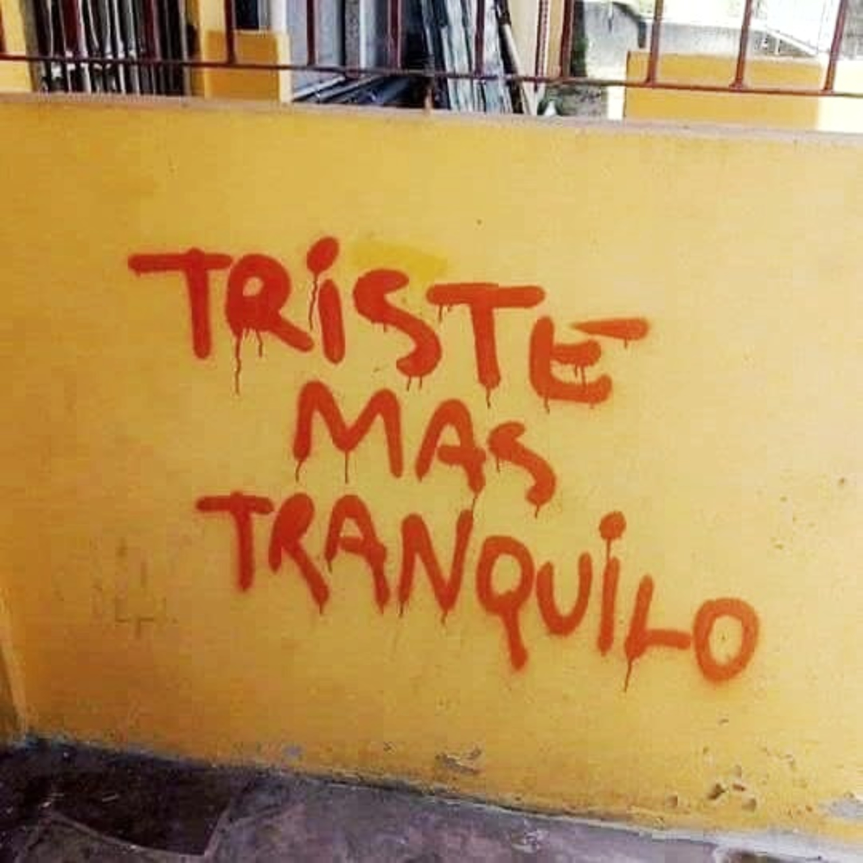 THIS IS BRAZIL