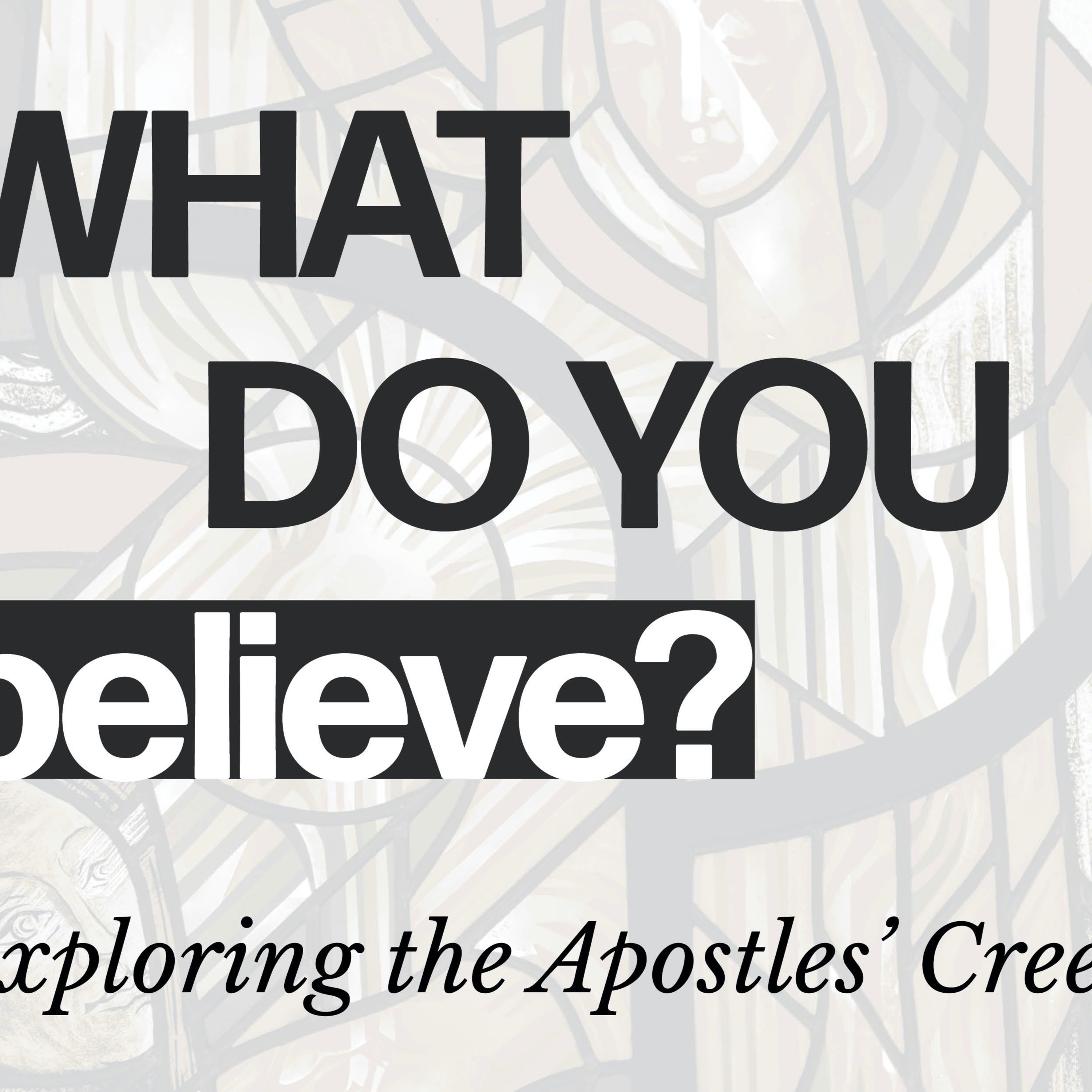 What Do You Believe? "I believe in the forgiveness of sins" episode artwork
