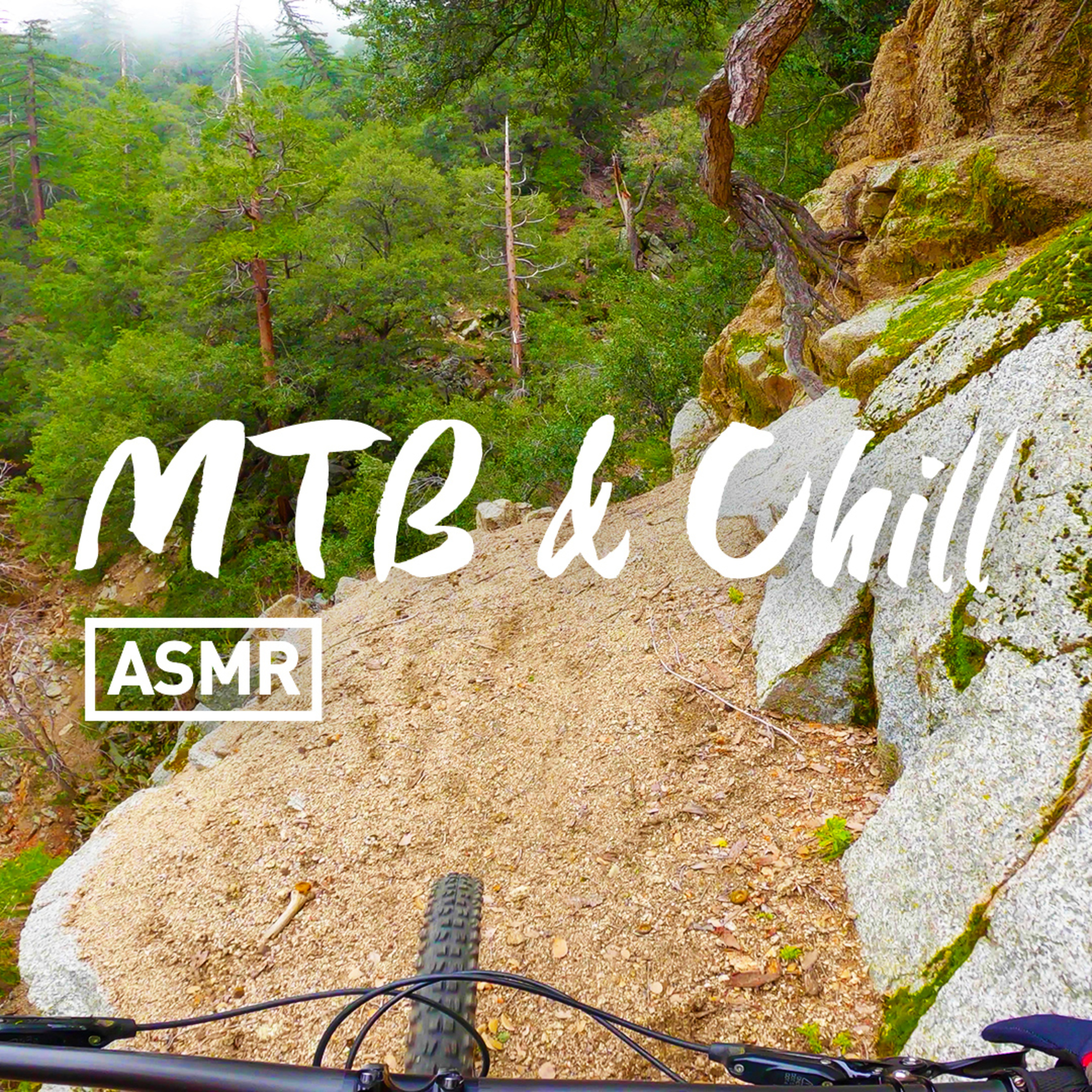 MTB ALAN\'S AIR HORN